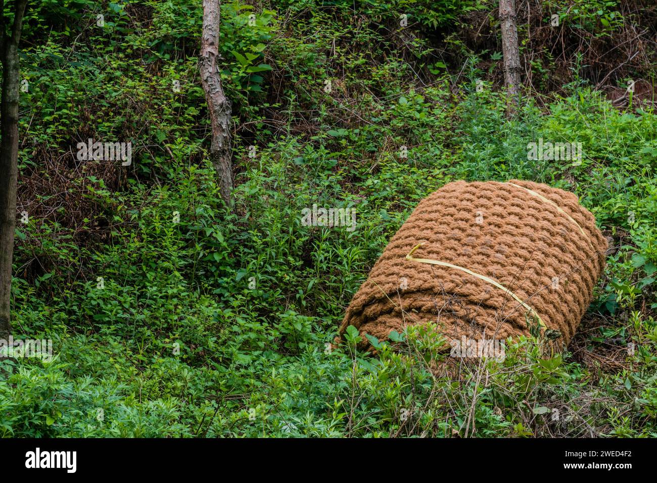 Nahaufnahme der Rasenseilmatte, die auf dem Boden in Südkorea aufgerollt liegt Stockfoto