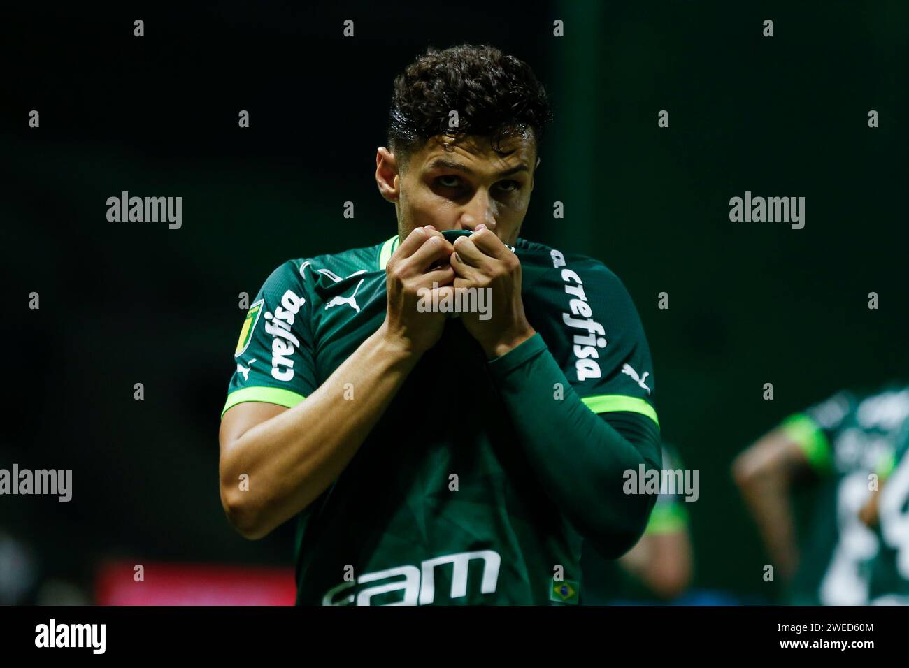 Sao Paulo, (SP) 24/2024 - Campeonato Paulista/Palmeiras x Inter de Limeira - während des Spiels zwischen Palmeiras x Inter de Limeira im Allianz Parque Stadium in Sao Paulo, SP. Das Spiel gilt für Runde 2 des Campeonato Paulista 2024. 31161 (Ricardo Moreira/SPP) 31161 (Ricardo Moreira/SPP) Credit: SPP Sport Press Photo. /Alamy Live News Stockfoto