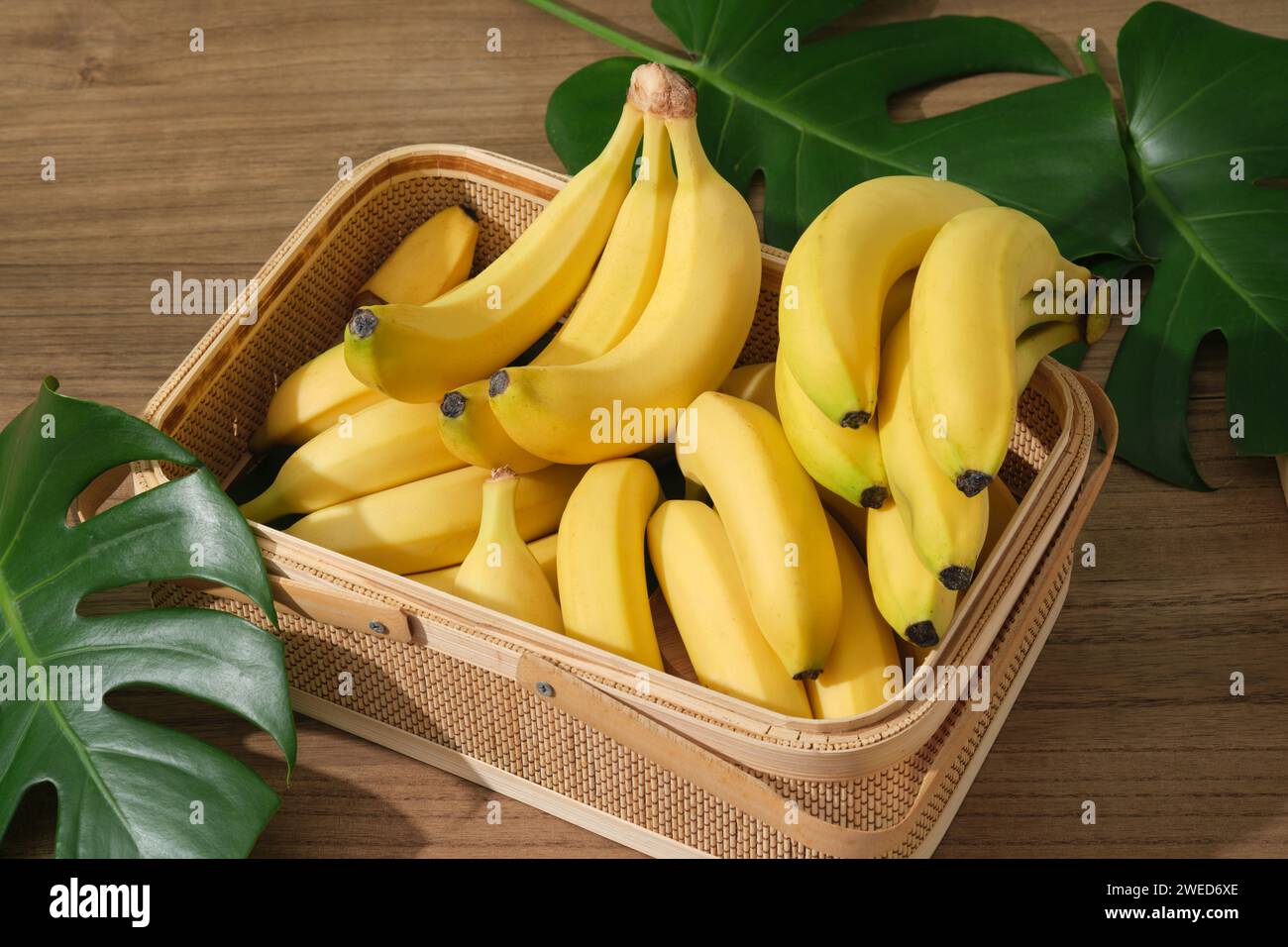 Bananen sind in einem Bambuskorb angeordnet, der mit frischen grünen Blättern dekoriert ist. Bananen (Musaceae) schützen den Körper vor Schäden, die durch den verursacht werden Stockfoto