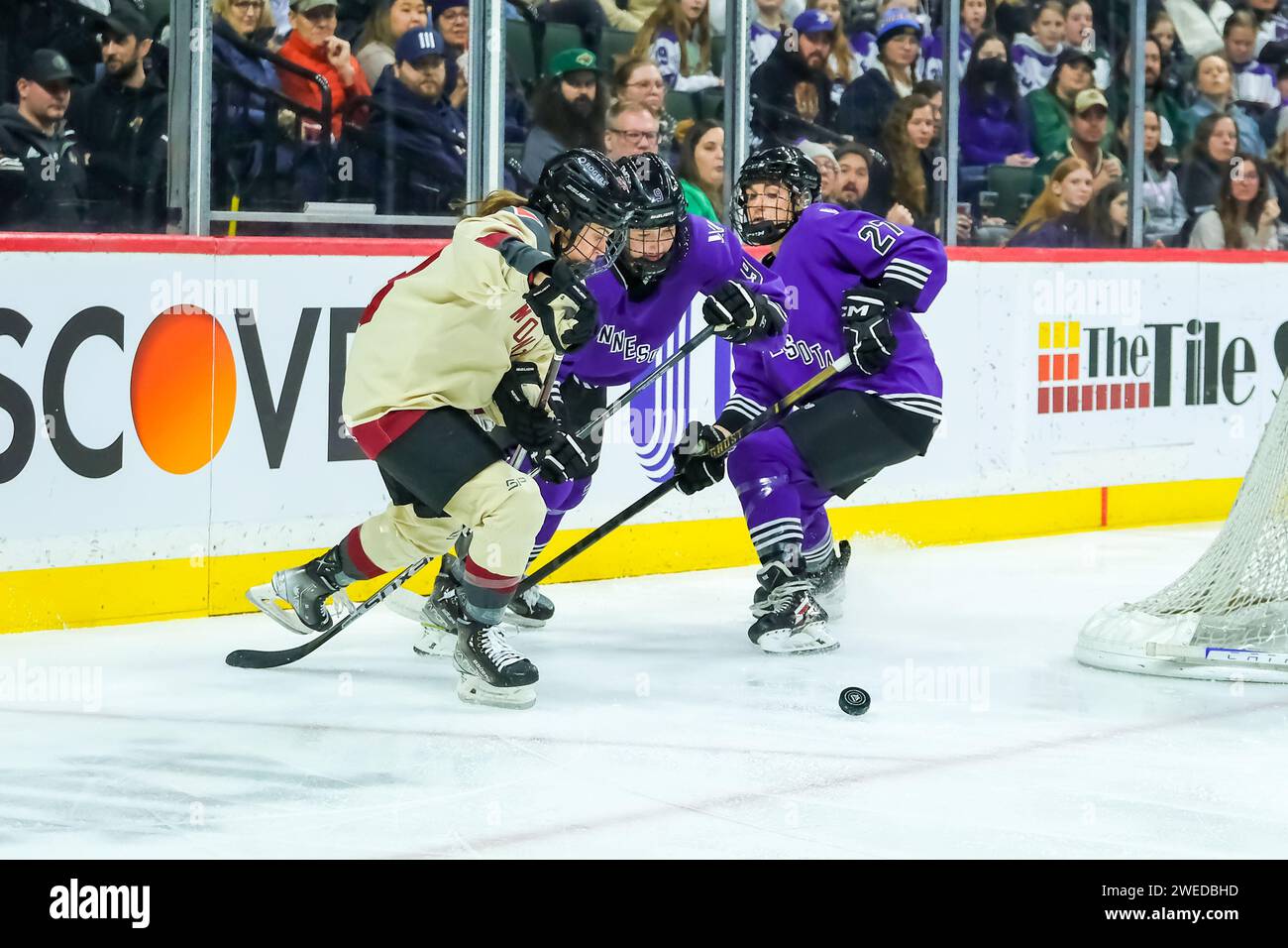 Minneapolis, Minnesota, USA. Januar 2024. Minnesota Defender ABBY COOK (9) und Montreal Stürmer CLAIRE DALTON (42) beobachten den Puck während eines PWHL-Spiels zwischen Minnesota und Montreal im Xcel Energy Center in St. Paul, MN am 24. Januar 2024. Montreal schlug Minnesota mit 2:1. (Kreditbild: © Steven Garcia/ZUMA Press Wire) NUR REDAKTIONELLE VERWENDUNG! Nicht für kommerzielle ZWECKE! Stockfoto