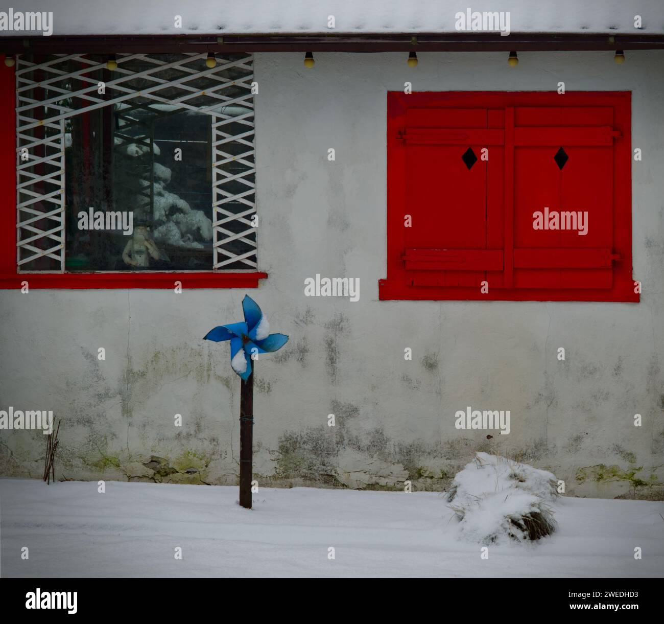 Ein seltsamer schneebedeckter Schrebergschuppen im Winter mit einem roten Fensterladen und einem blauen Windrad auf dem verschneiten Boden Stockfoto