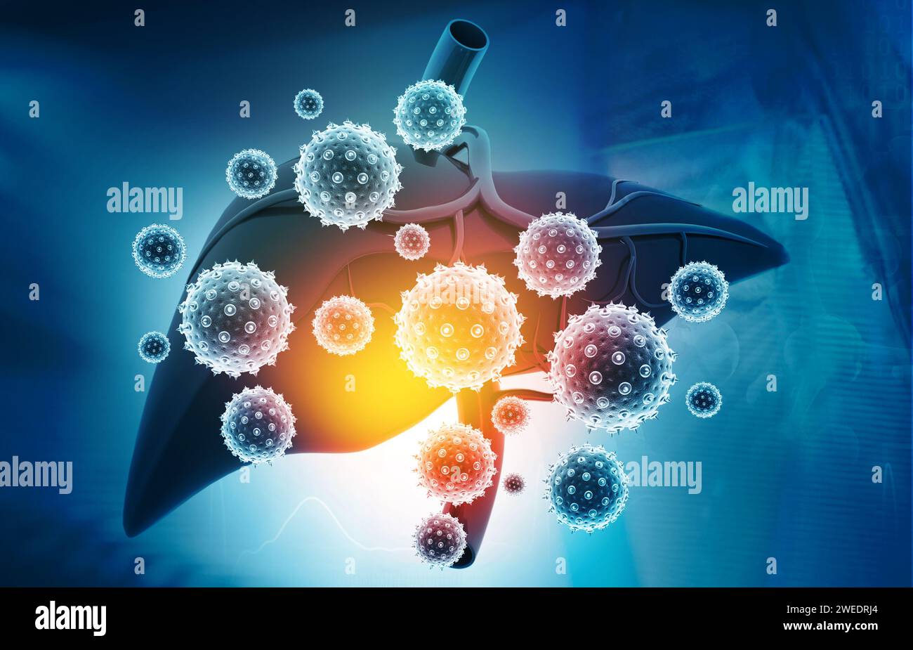 Virus befällt die menschliche Leber. 3D-Abbildung Stockfoto