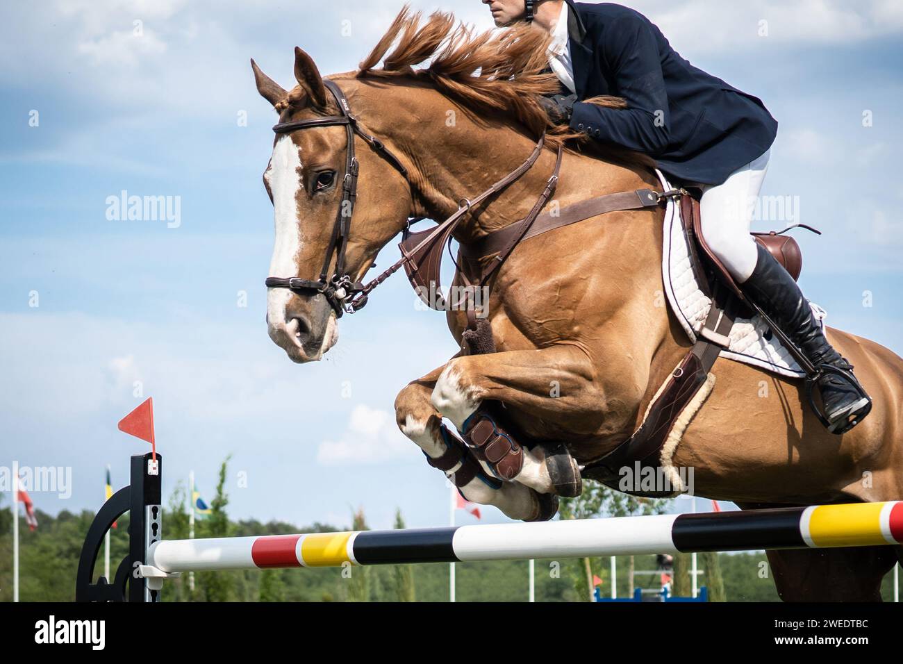 Pferdesport Foto-Themen: Springen, Show Jumping, Reiten. Stockfoto