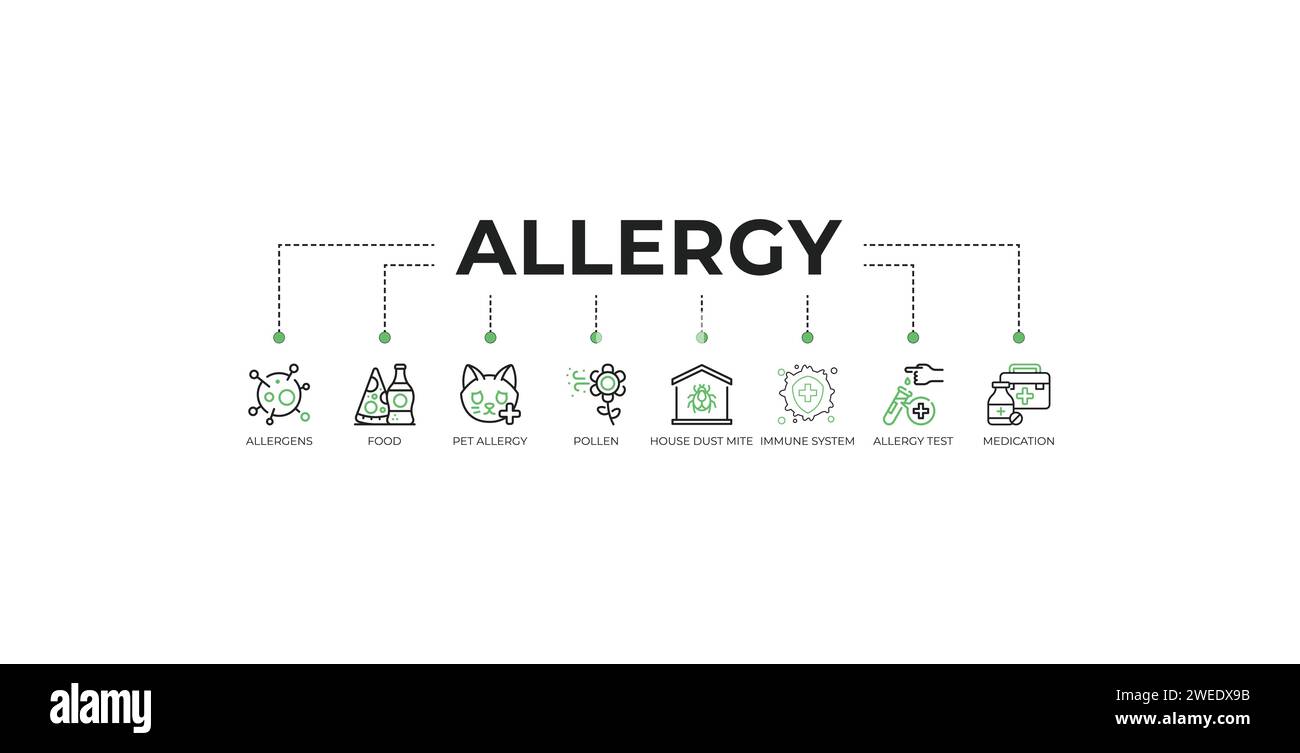 Allergie-Banner Web-Symbol-Vektor-Illustration Konzept mit Ikonen von Allergenen, Lebensmitteln, Haustierallergie, Pollen, Hausstaubmilben, Immunsystem, Allergietest Stock Vektor