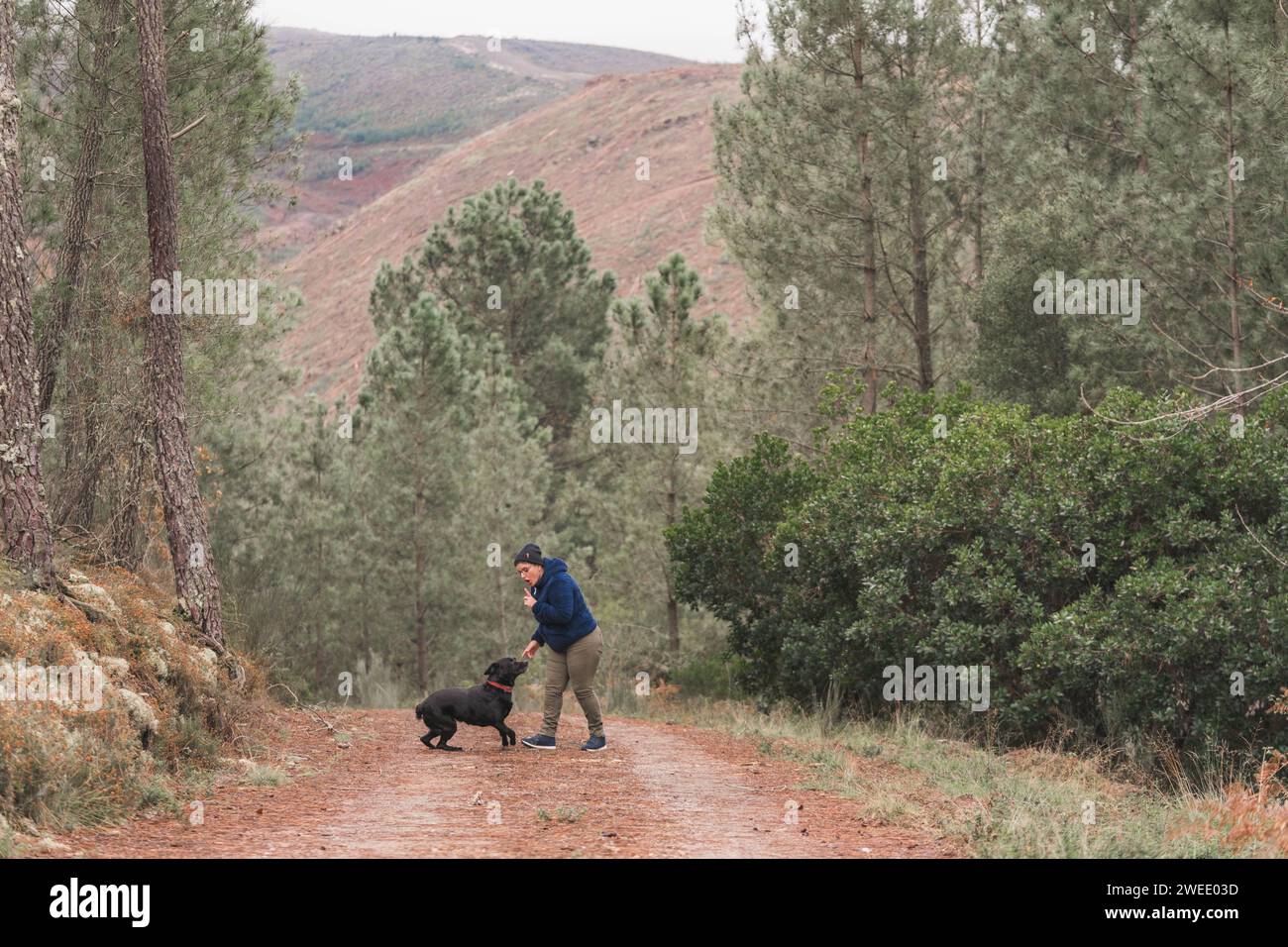 Frau umarmt einen schwarzen labrador. Frau in einer blauen Skijacke. Herbst im Wald. Mit einem Hund im Wald spazieren gehen. Lifestyle. Sportbekleidung zum Wandern. H Stockfoto