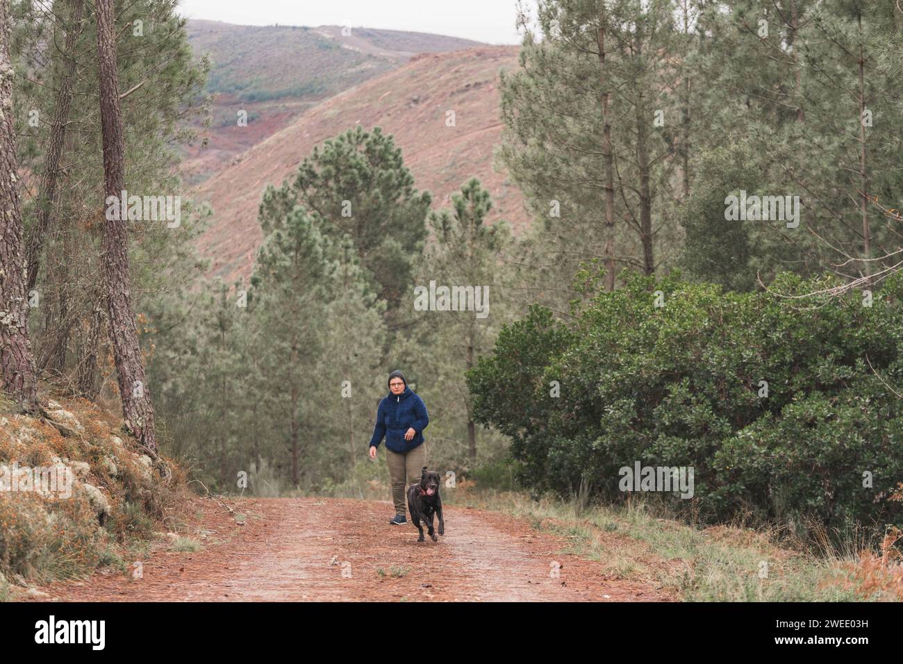 Frau umarmt einen schwarzen labrador. Frau in einer blauen Skijacke. Herbst im Wald. Mit einem Hund im Wald spazieren gehen. Lifestyle. Sportbekleidung zum Wandern. H Stockfoto