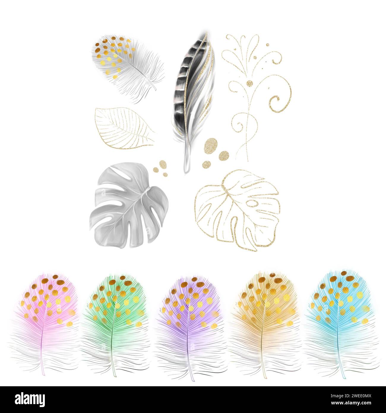 Aquarellclipart mit bunten Federn, Fasanenfedern, goldenen Monsterablättern. Tropisches Set, romantisches Design. Luxuriöses Design für Einladungen. Stockfoto