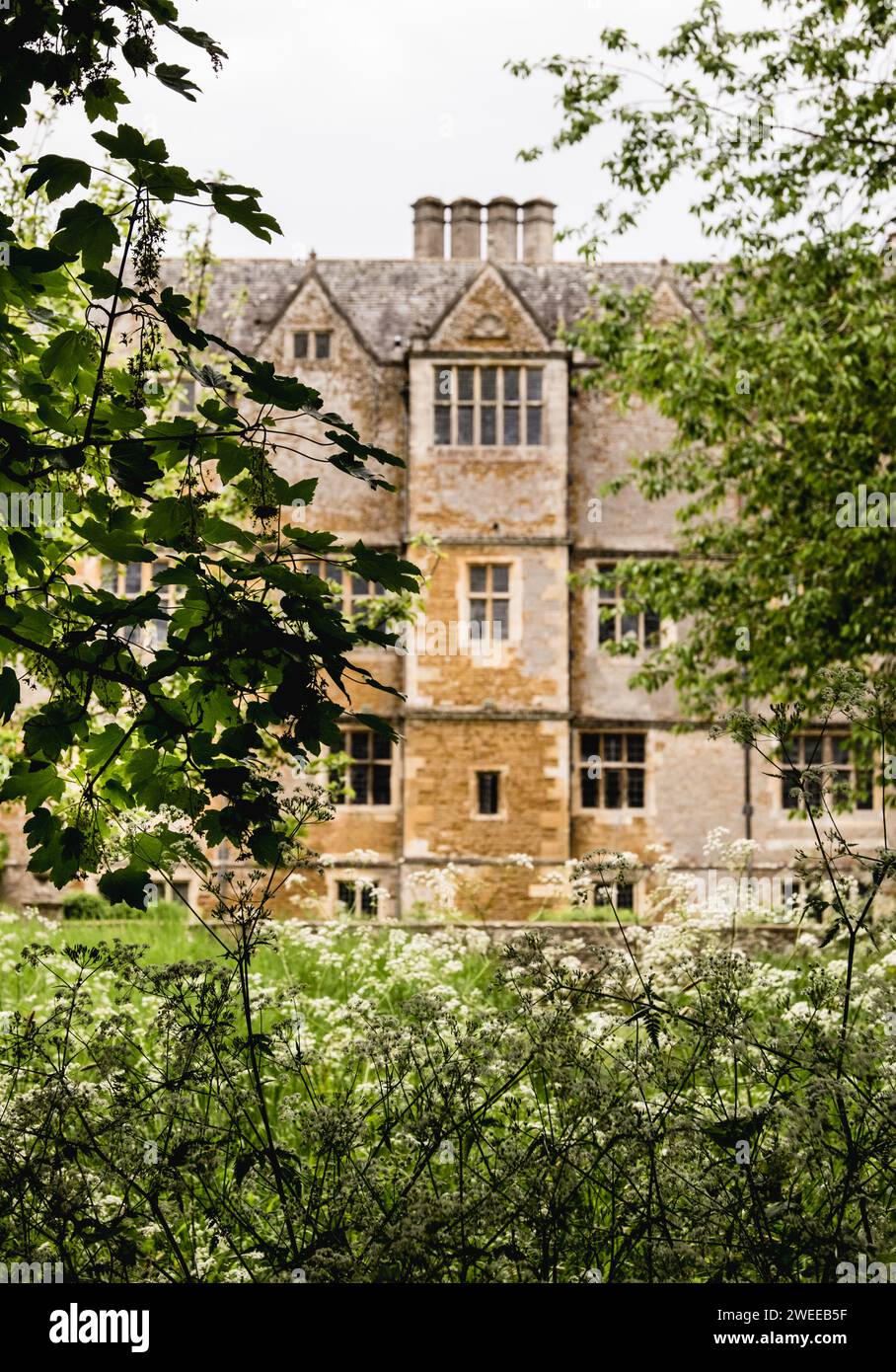 Englisches Landhaus durch die Hecke. Stockfoto