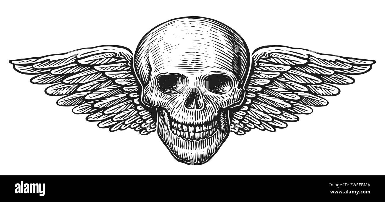 Menschlicher Schädel mit Flügeln. Handgezeichneter geflügelter Skelettkopf. Skizzieren Sie Vintage-Illustration Stock Vektor