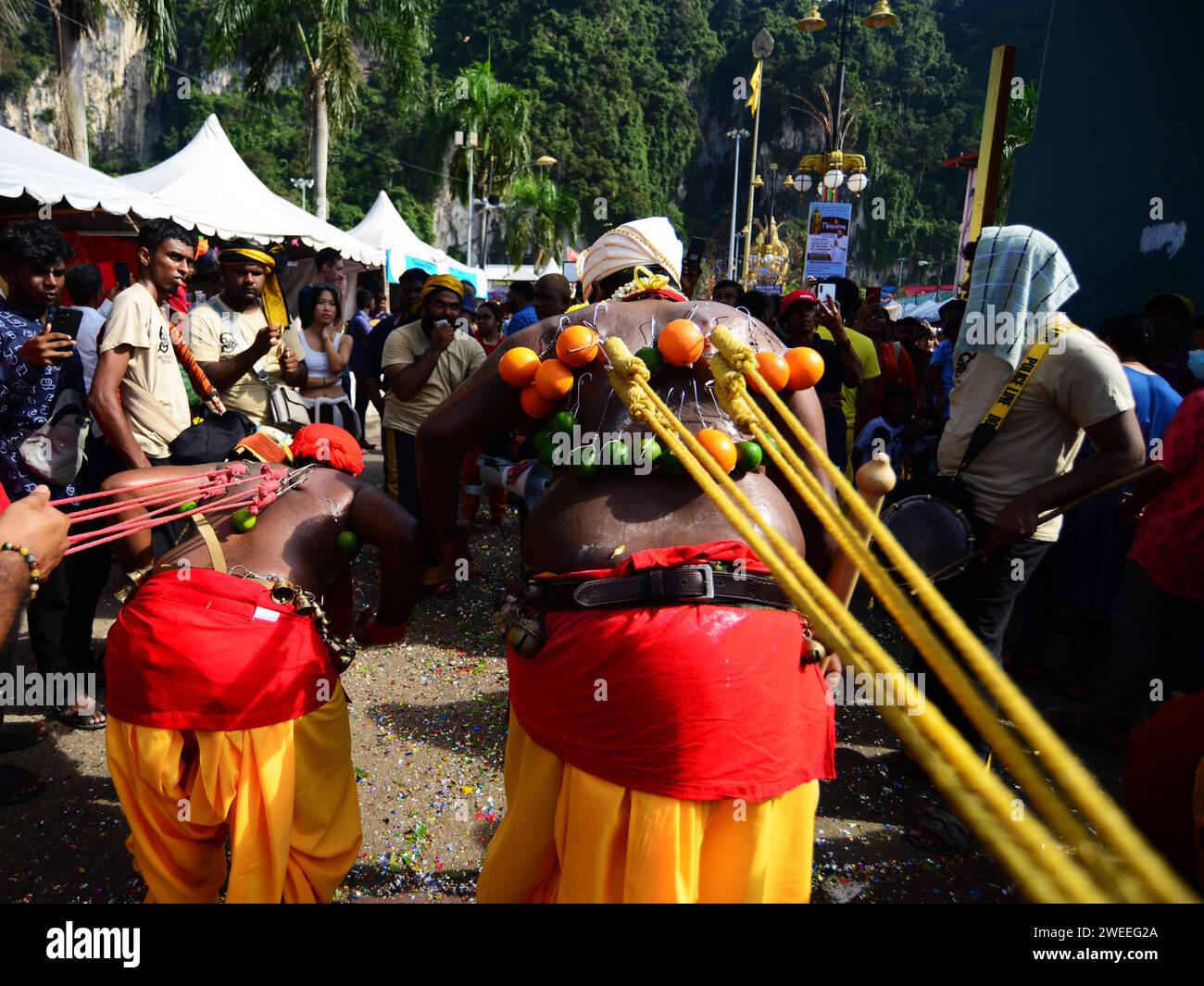 KUALA LUMPUR 25/01/2024 Thaipusam oder Thaipoosam ist ein Tamil-Hindu-Festival, das am ersten Vollmondtag des tamilischen Monats Thai gefeiert wird und mit dem Pusam-Stern zusammenfällt. Das Festival wird gefeiert, um dem Sieg des hinduistischen Gottes Murugan über den Dämon Surapadman zu gedenken. Das Festival umfasst rituelle Praktiken von Kavadi Aattam, ein zeremonieller Akt des Opfers, der eine physische Belastung trägt, um eine spirituelle Schuld auszugleichen. Die Anbeter tragen oft einen Topf Kuhmilch als Opfergabe und mortieren auch das Fleisch, indem sie die Haut und die Zunge durchstechen Stockfoto KUALA LUMPUR 25/01/2024 Thaipusam oder Thaipoosam ist ein Tamil-Hindu-Festival, das am ersten Vollmondtag des tamilischen Monats Thai gefeiert wird und mit dem Pusam-Stern zusammenfällt. Das Festival wird gefeiert, um dem Sieg des hinduistischen Gottes Murugan über den Dämon Surapadman zu gedenken. Das Festival umfasst rituelle Praktiken von Kavadi Aattam, ein zeremonieller Akt des Opfers, der eine physische Belastung trägt, um eine spirituelle Schuld auszugleichen. Die Anbeter tragen oft einen Topf Kuhmilch als Opfergabe und mortieren auch das Fleisch, indem sie die Haut und die Zunge durchstechen Stockfoto