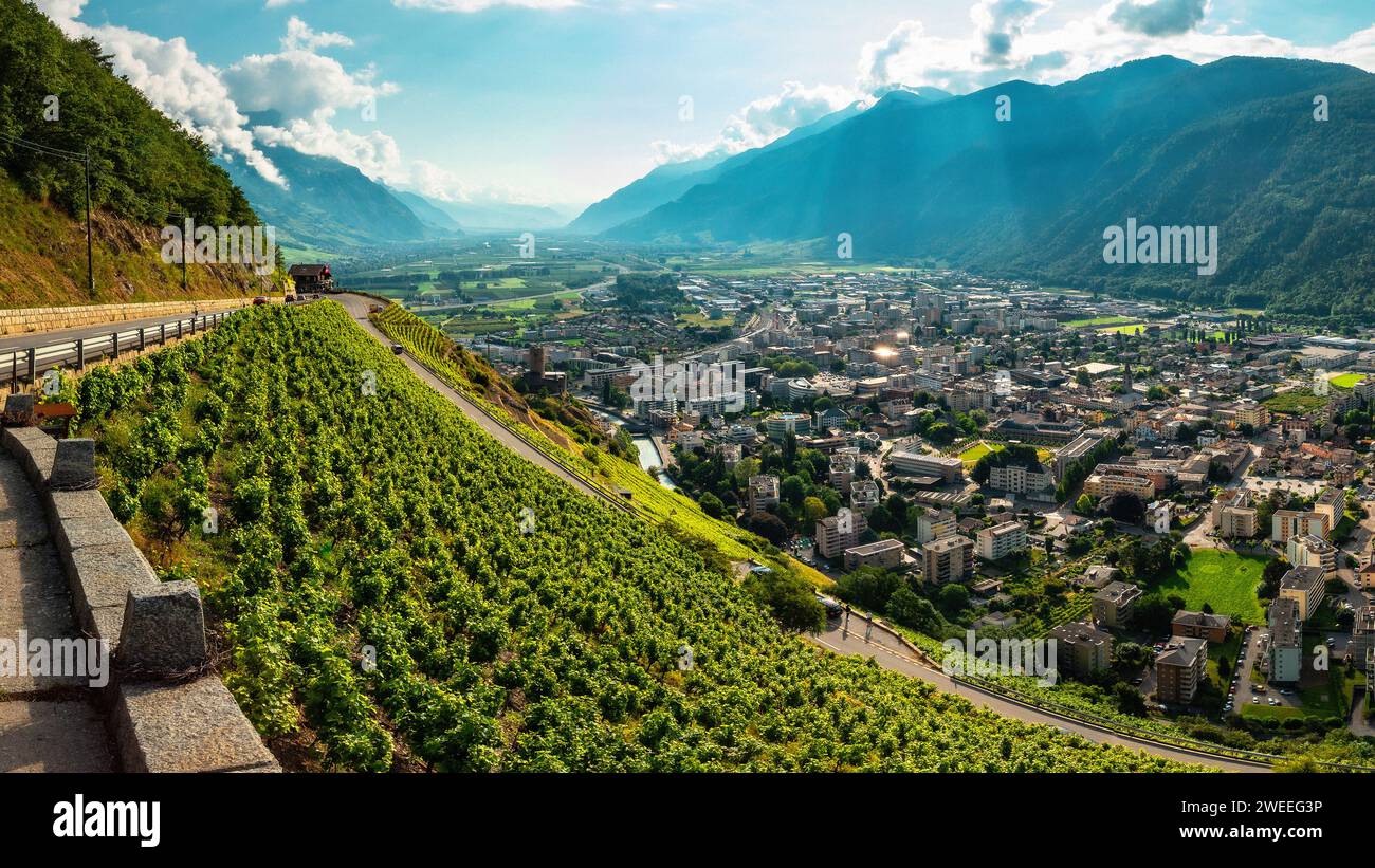 Martigny Panorama mit malerischen Weinbergen in der Schweiz Stockfoto