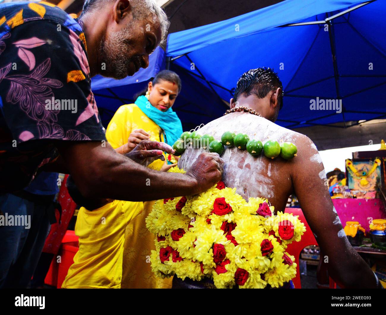 KUALA LUMPUR 25/01/2024 Thaipusam oder Thaipoosam ist ein Tamil-Hindu-Festival, das am ersten Vollmondtag des tamilischen Monats Thai gefeiert wird und mit dem Pusam-Stern zusammenfällt. Das Festival wird gefeiert, um dem Sieg des hinduistischen Gottes Murugan über den Dämon Surapadman zu gedenken. Das Festival umfasst rituelle Praktiken von Kavadi Aattam, ein zeremonieller Akt des Opfers, der eine physische Belastung trägt, um eine spirituelle Schuld auszugleichen. Die Anbeter tragen oft einen Topf Kuhmilch als Opfergabe und mortieren auch das Fleisch, indem sie die Haut und die Zunge durchstechen Stockfoto KUALA LUMPUR 25/01/2024 Thaipusam oder Thaipoosam ist ein Tamil-Hindu-Festival, das am ersten Vollmondtag des tamilischen Monats Thai gefeiert wird und mit dem Pusam-Stern zusammenfällt. Das Festival wird gefeiert, um dem Sieg des hinduistischen Gottes Murugan über den Dämon Surapadman zu gedenken. Das Festival umfasst rituelle Praktiken von Kavadi Aattam, ein zeremonieller Akt des Opfers, der eine physische Belastung trägt, um eine spirituelle Schuld auszugleichen. Die Anbeter tragen oft einen Topf Kuhmilch als Opfergabe und mortieren auch das Fleisch, indem sie die Haut und die Zunge durchstechen Stockfoto