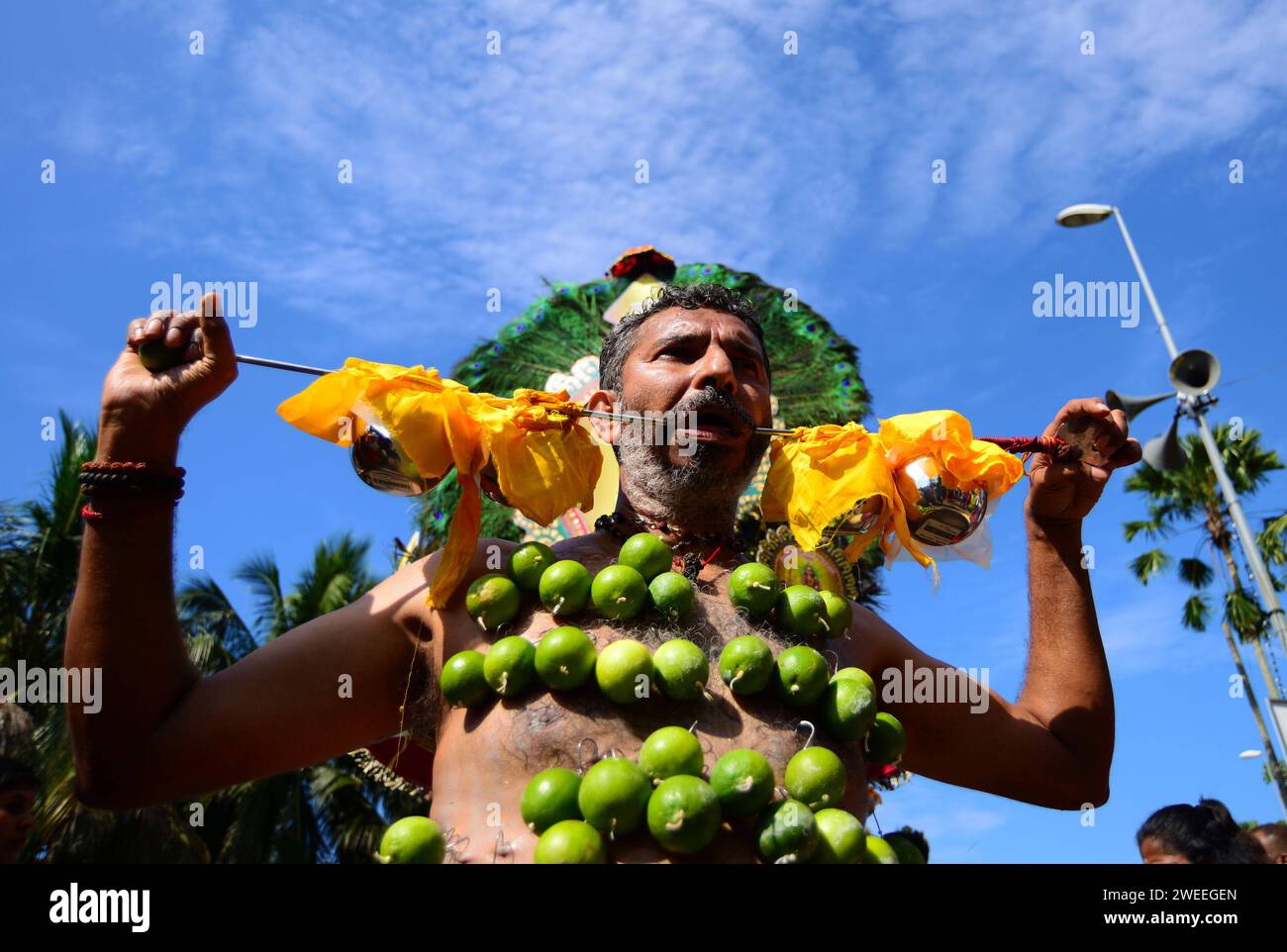 KUALA LUMPUR 25/01/2024 Thaipusam oder Thaipoosam ist ein Tamil-Hindu-Festival, das am ersten Vollmondtag des tamilischen Monats Thai gefeiert wird und mit dem Pusam-Stern zusammenfällt. Das Festival wird gefeiert, um dem Sieg des hinduistischen Gottes Murugan über den Dämon Surapadman zu gedenken. Das Festival umfasst rituelle Praktiken von Kavadi Aattam, ein zeremonieller Akt des Opfers, der eine physische Belastung trägt, um eine spirituelle Schuld auszugleichen. Die Anbeter tragen oft einen Topf Kuhmilch als Opfergabe und mortieren auch das Fleisch, indem sie die Haut und die Zunge durchstechen Stockfoto KUALA LUMPUR 25/01/2024 Thaipusam oder Thaipoosam ist ein Tamil-Hindu-Festival, das am ersten Vollmondtag des tamilischen Monats Thai gefeiert wird und mit dem Pusam-Stern zusammenfällt. Das Festival wird gefeiert, um dem Sieg des hinduistischen Gottes Murugan über den Dämon Surapadman zu gedenken. Das Festival umfasst rituelle Praktiken von Kavadi Aattam, ein zeremonieller Akt des Opfers, der eine physische Belastung trägt, um eine spirituelle Schuld auszugleichen. Die Anbeter tragen oft einen Topf Kuhmilch als Opfergabe und mortieren auch das Fleisch, indem sie die Haut und die Zunge durchstechen Stockfoto