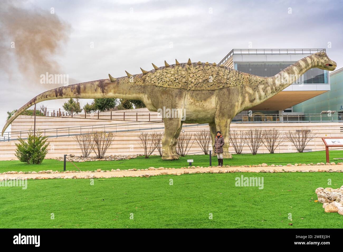 Museo Paleontologico de Castilla-La Mancha Stockfoto