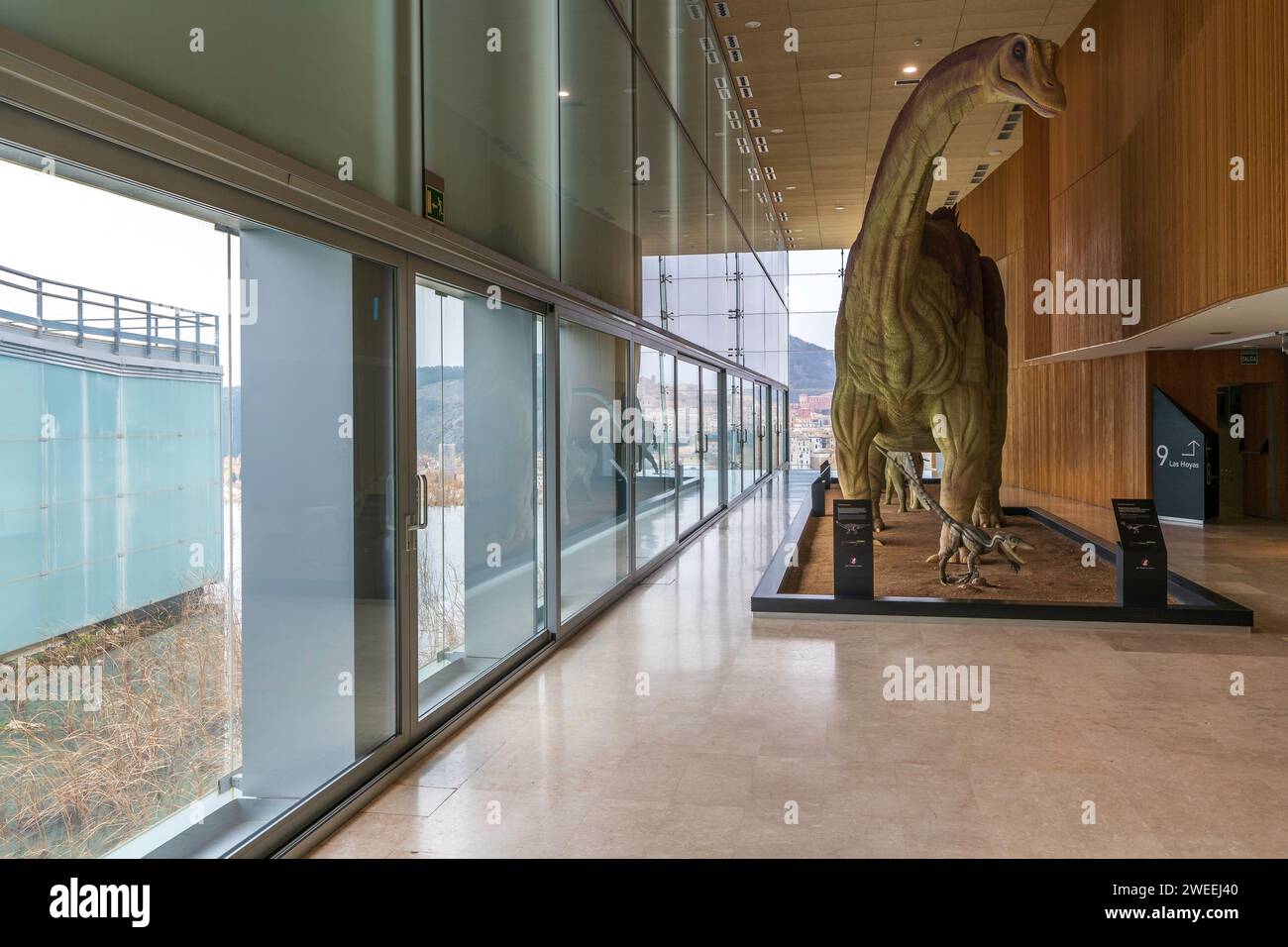 Museo Paleontologico de Castilla-La Mancha Stockfoto