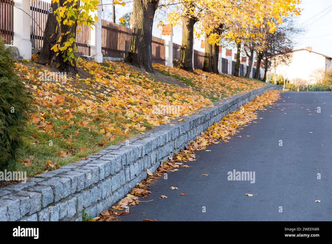 Die Straße ist mit Herbstblättern bedeckt. Stockfoto
