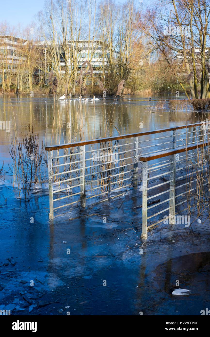 Fußgängerbrücke, die überflutet wurde, dann gefroren, Winter, Green Park, Reading, Berkshire, England, Großbritannien, GB. Stockfoto