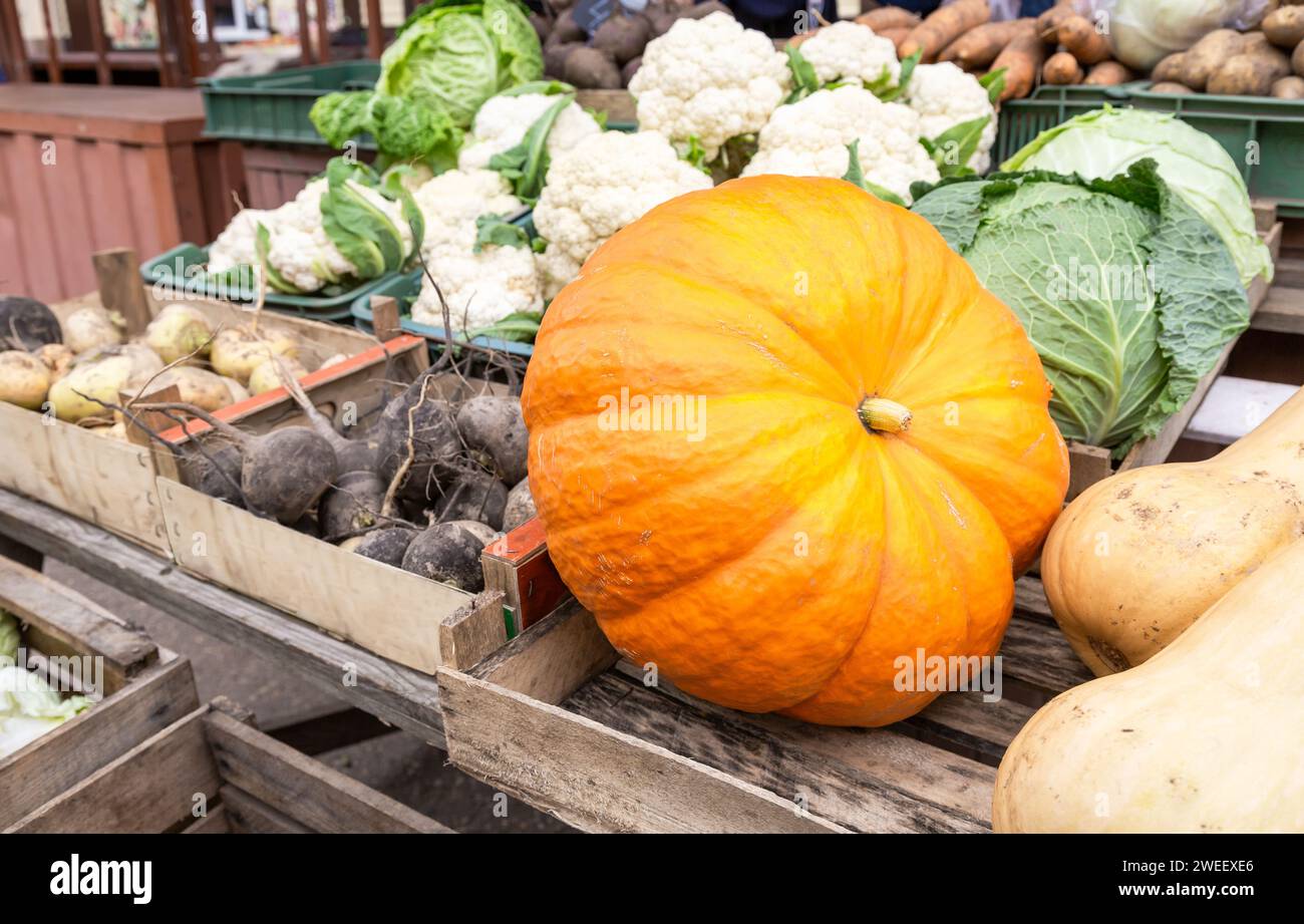 Reifer Orangenkürbis, Blumenkohl, Rüben und anderes Gemüse werden auf einem lokalen Bauernmarkt verkauft Stockfoto