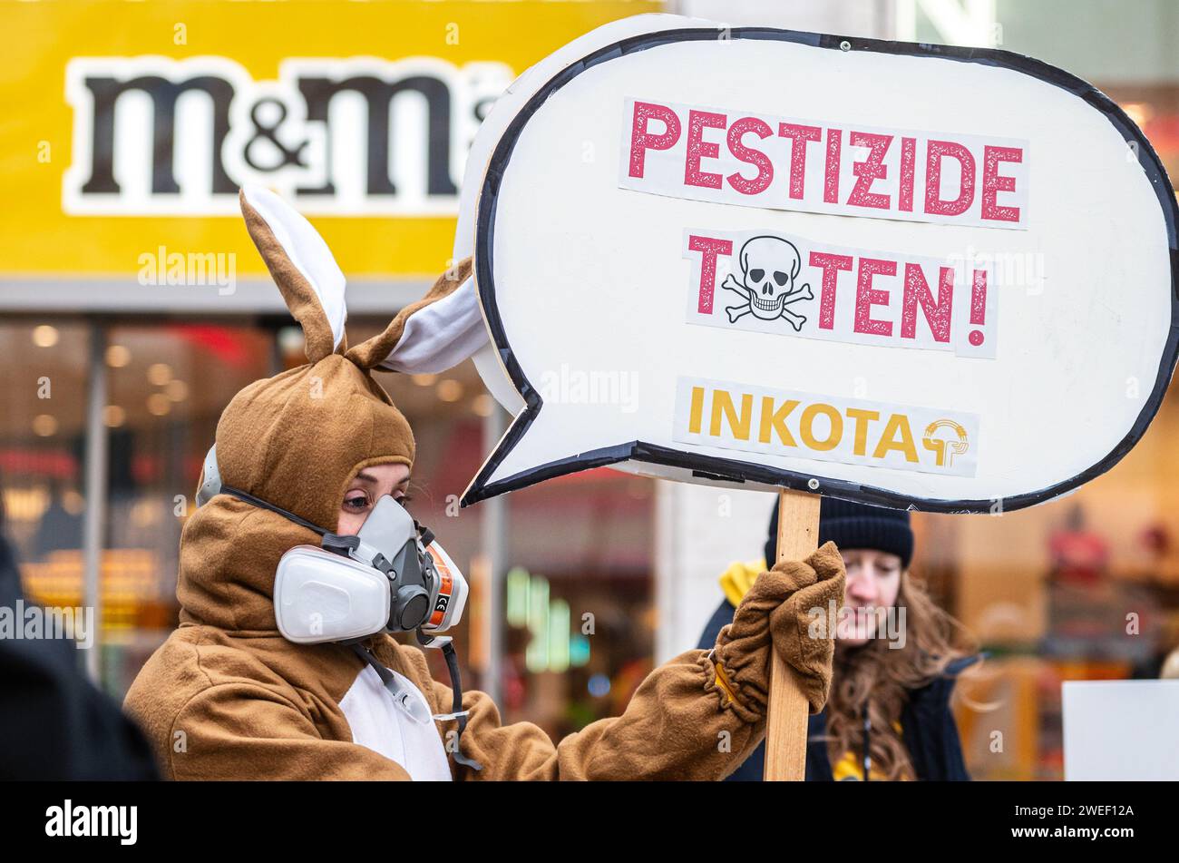 Deutschland, Berlin, 25. Januar 2024: Aktivistinnen und Aktivistinnen protestieren gegen den Einsatz hochgefährlicher Pestizide im Kakaoanbau im Vorfeld der ISM Cologne 2024 vor dem MARS M&M Store Berlin. Die Aktivisten und Unterstützer der Entwicklungsorganisation INKOTA-netzwerk e.V. fordern große Schokoladenunternehmen wie MARS AUF, den Einsatz hochgefährlicher Pestizide in ihren Lieferketten einzustellen, die in Europa aufgrund ihrer schädlichen Auswirkungen nicht zugelassen sind. Sie weisen darauf hin, dass 1,5 Millionen Kinder diesen Pestiziden in Kakaokulturen ausgesetzt sind Stockfoto