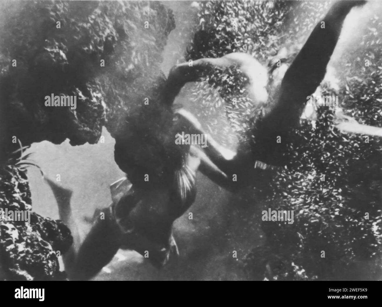 Eine Unterwasserszene aus „Bird of Paradise“ (1951), einem Film, der Romantik und Abenteuer vor einer üppigen Südsee-Kulisse kombiniert. Im Film spielt Debra Paget die Rolle der Kalua, einer polynesischen Prinzessin, die sich in Andre Laurence verliebt, gespielt von Louis Jourdan, einem Amerikaner, der die Insel besucht Stockfoto