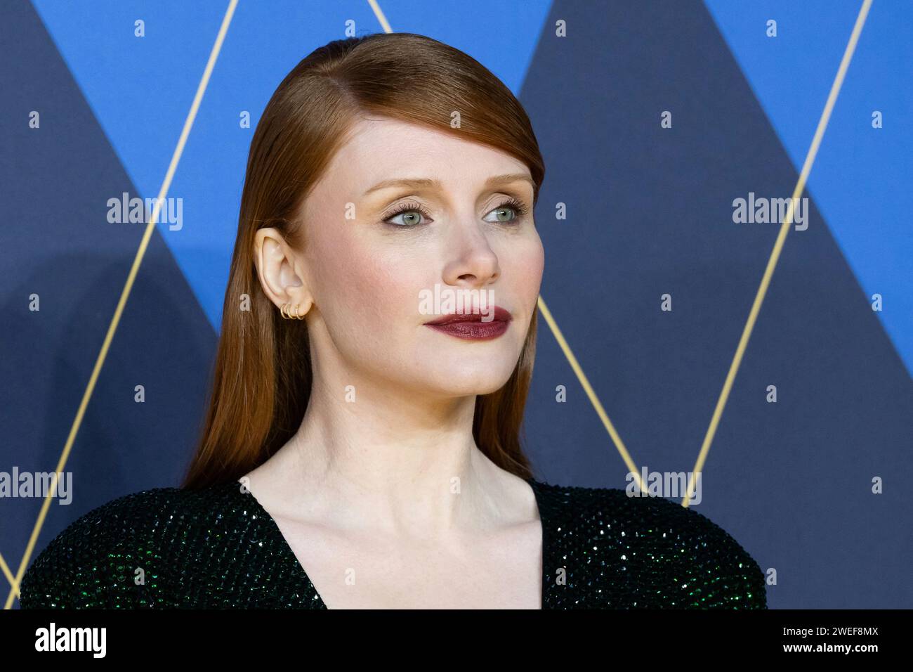 Bryce Dallas Howard poses for photographers upon arrival at the World