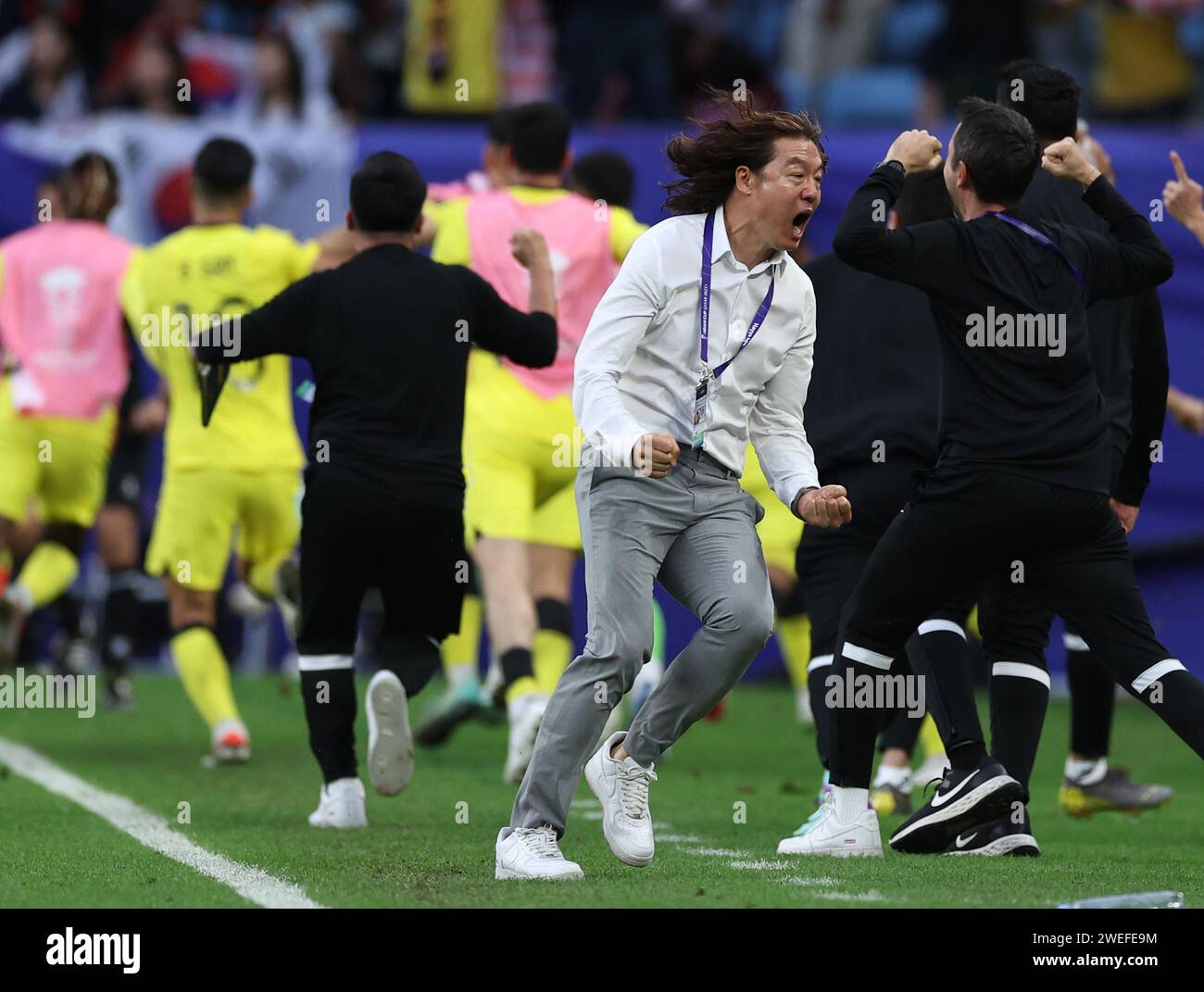 Doha. Januar 2024. Kim Pangon (C), Cheftrainer von Malaysia, feiert während des Gruppenspiels E zwischen Südkorea und Malaysia beim AFC Asian Cup Qatar 2023 in Doha, Katar, 25. Januar 2024. Quelle: Jia Haocheng/Xinhua/Alamy Live News Stockfoto