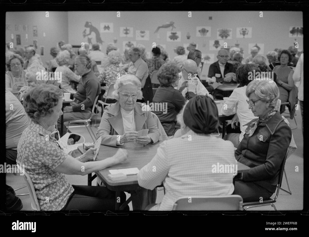 Senioren spielen Karten im Thomas Jefferson Community Center, Arlington, Virginia, 10.05.1977. Foto von US News und World Report Magazine Collection Stockfoto