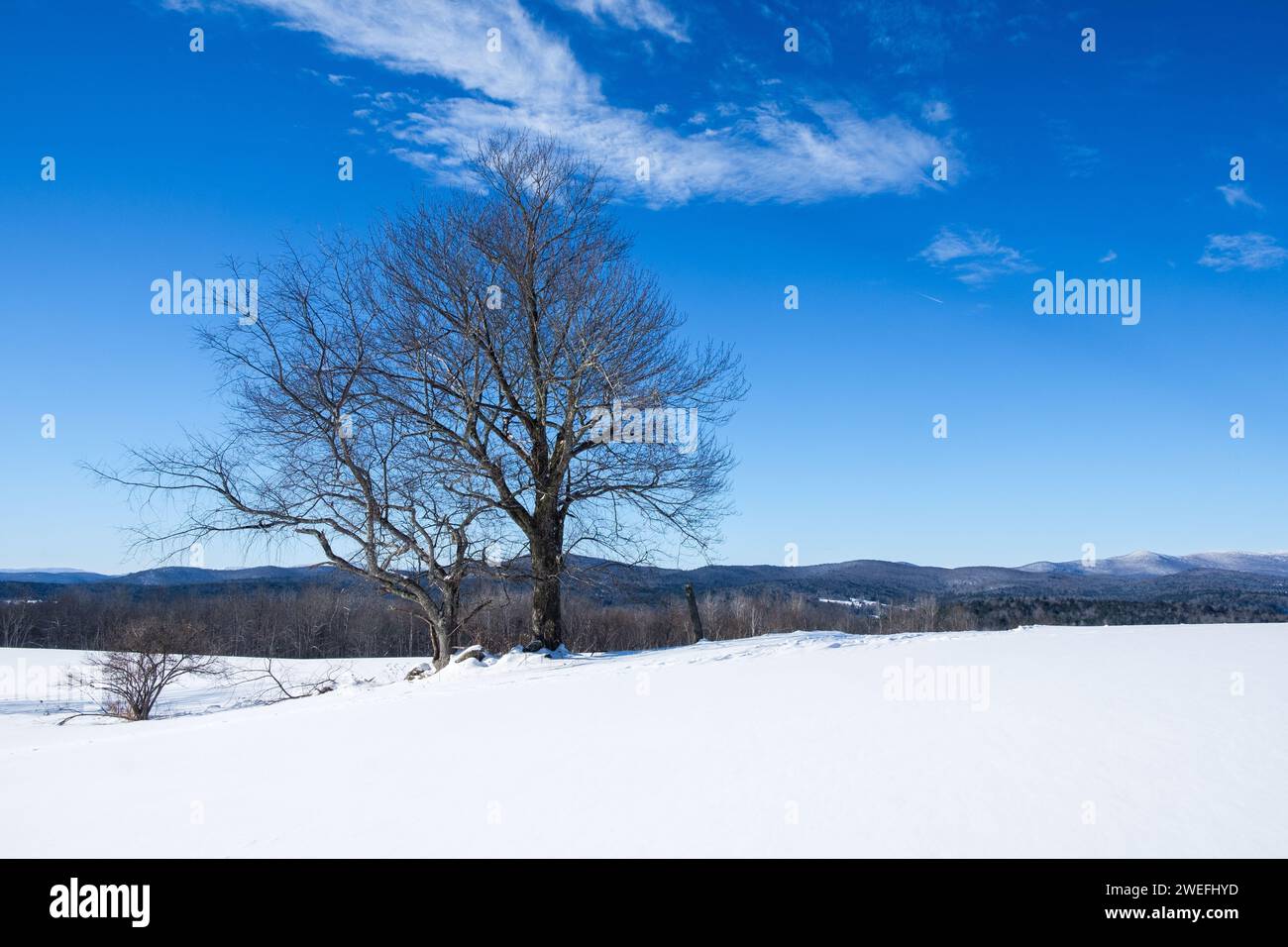 Winterblick auf die Green Mountains von Vermont, New England, USA. Stockfoto