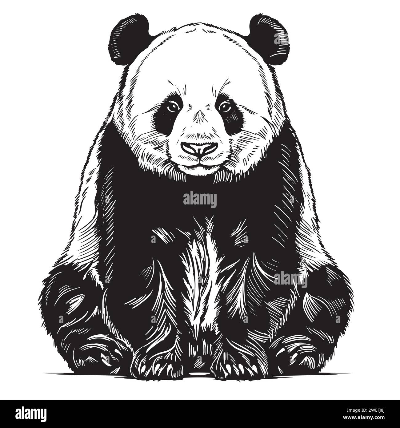 Vektor-realistische Skizze des niedlichen sitzenden Pandas in voller Länge, Hand gezeichnete Illustration Stock Vektor