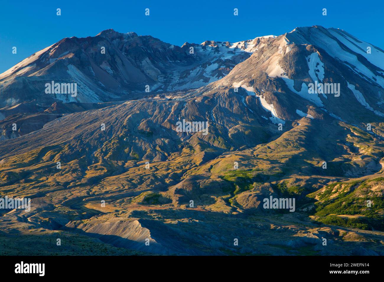 Boundary Trail zu Mt St Helens, Mount St. Helens National Volcanic Monument, Washington Stockfoto