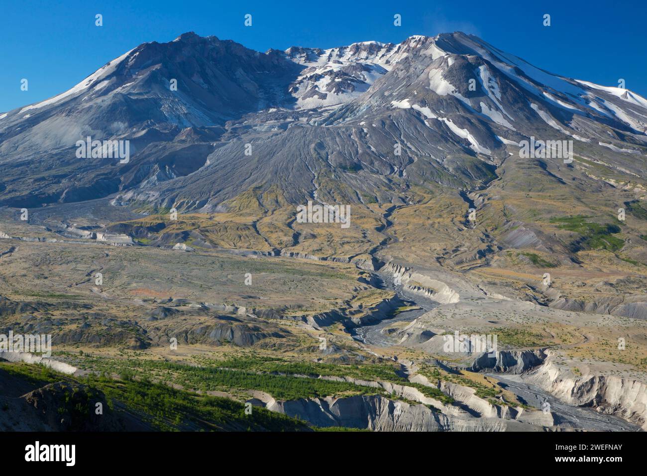 Boundary Trail zu Mt St Helens, Mount St. Helens National Volcanic Monument, Washington Stockfoto