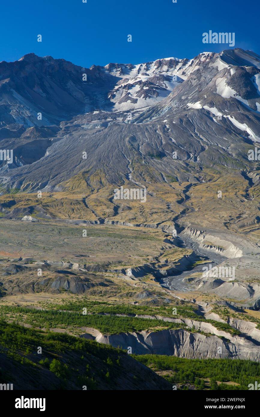 Boundary Trail zu Mt St Helens, Mount St. Helens National Volcanic Monument, Washington Stockfoto