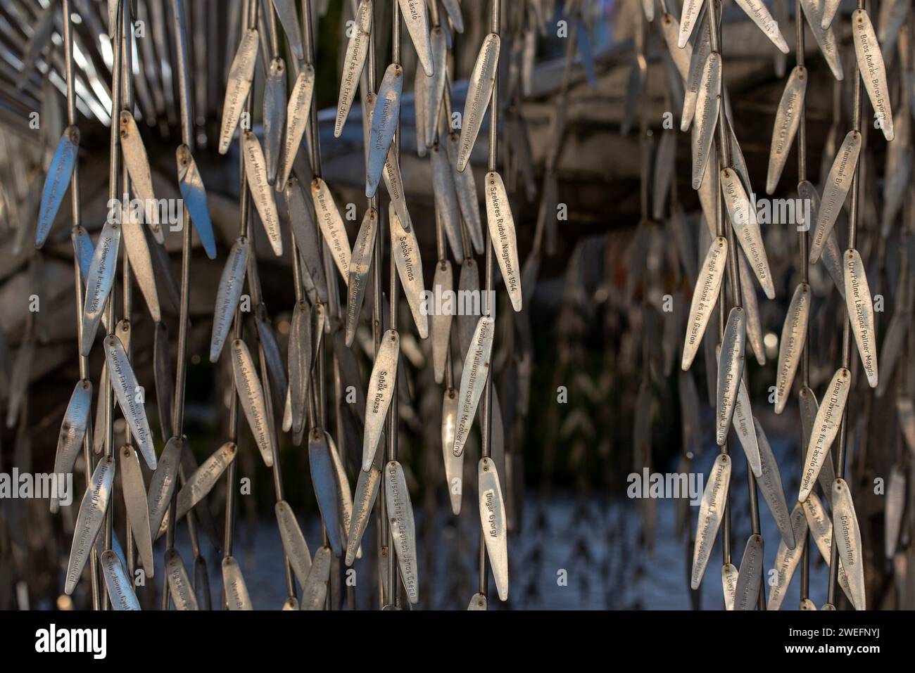 Budapest, Ungarn. Januar 2024. Die Namen der Opfer sind auf die Blätter des Trauerweiden-Skulpturenbaums in der Dohany Street Synagoge eingegrabt. Holocaust Tree of Life Memorial es symbolisiert eine Trauerweide und steht im Hinterhof der Dohany Street Synagoge in Budapest, Ungarn. Die Skulptur wurde 1990 von Imre Varga für die Erinnerung an die 600000 ungarischen Juden geschaffen, die während des Zweiten Weltkriegs von den Nazis und ihren Mitstreitern getötet wurden. (Credit Image: © Krisztian Elek/SOPA Images via ZUMA Press Wire) NUR REDAKTIONELLE VERWENDUNG! Nicht für kommerzielle ZWECKE! Stockfoto