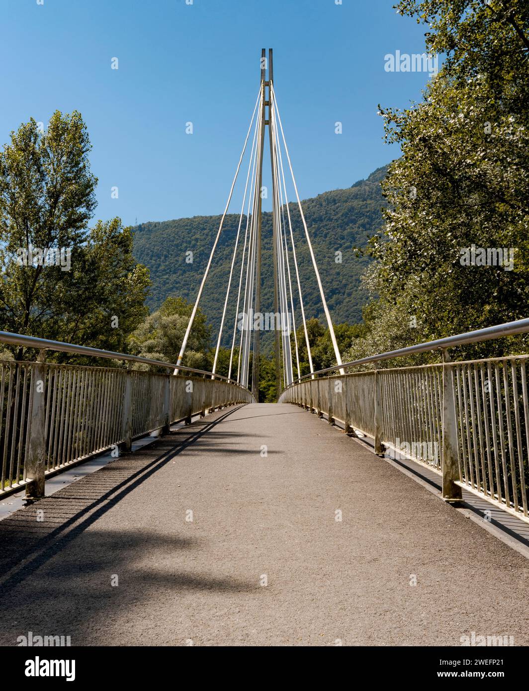 Fußgängerbrücke mitten im Wald, wunderschöne Architektur und ein großartiges Ingenieurstudium. Das Objekt befindet sich in der Schweiz Stockfoto