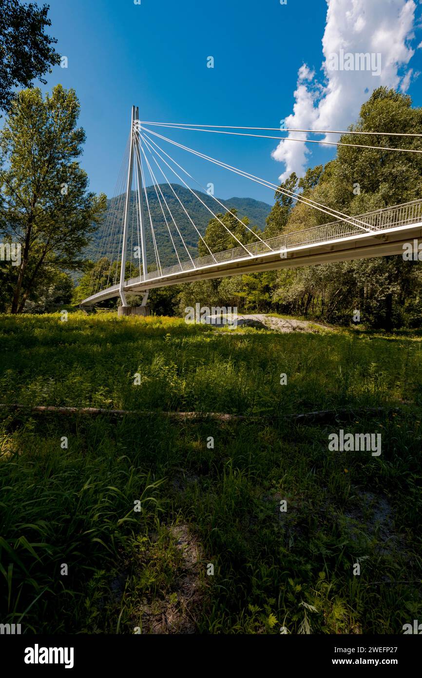 Fußgängerbrücke mitten im Wald, wunderschöne Architektur und eine großartige Ingenieurstudie. Das Objekt befindet sich in der Schweiz. Stockfoto