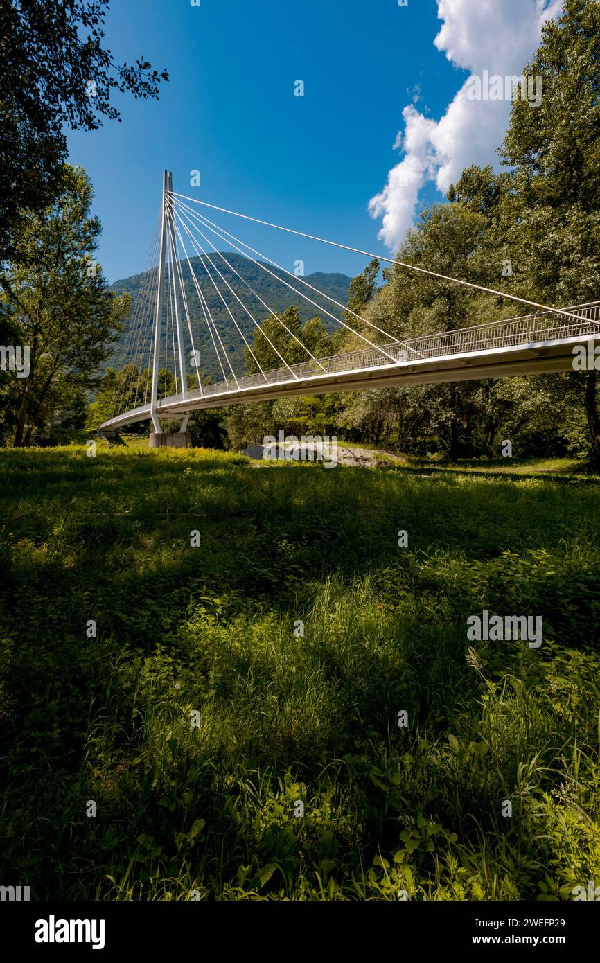 Fußgängerbrücke mitten im Wald, wunderschöne Architektur und ein großartiges Ingenieurstudium. Das Objekt befindet sich in der Schweiz. Stockfoto
