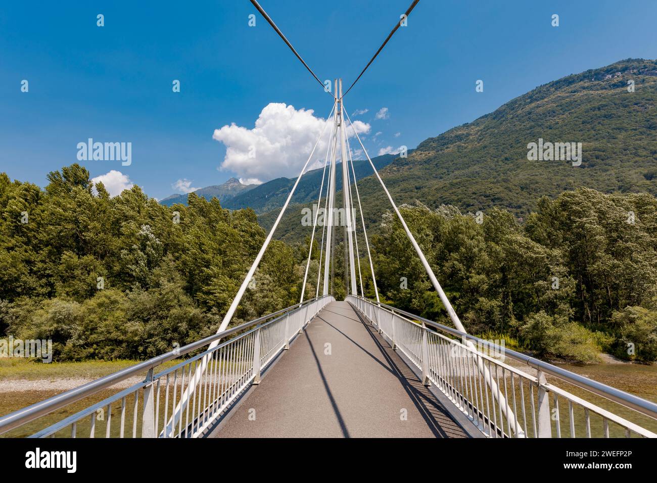 Fußgängerbrücke mitten im Wald, schöne Architektur mit einem großen Ingenieurbüro. Das Objekt befindet sich in der Schweiz, es ist ein sonniger Tag Stockfoto