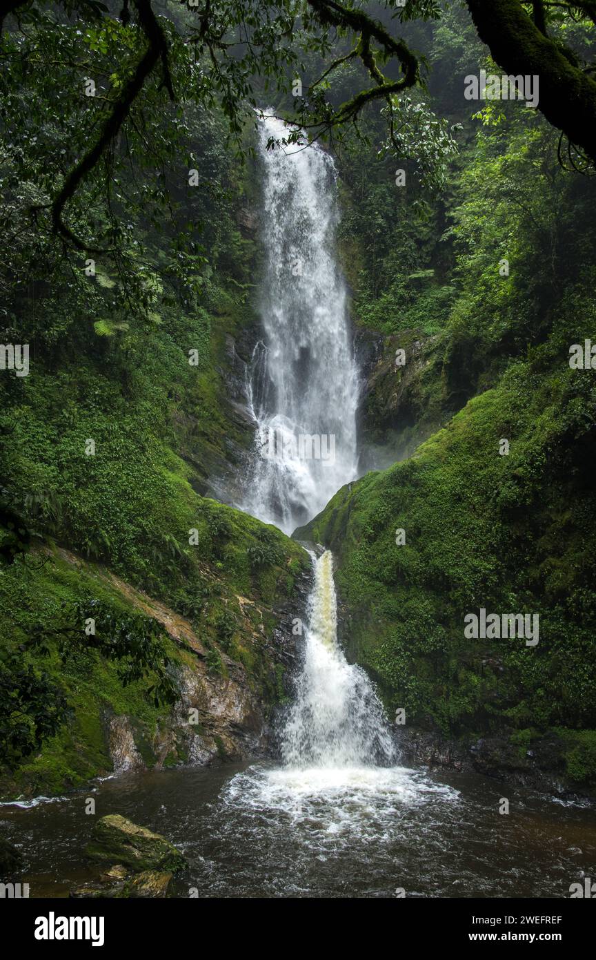 Ndambarare oder Isumo Wasserfall im Nyungwe Nationalpark im Südwesten Ruandas mit lebhaftem grünem Moos und hohem weißem Schaum inmitten üppiger Wälder Stockfoto