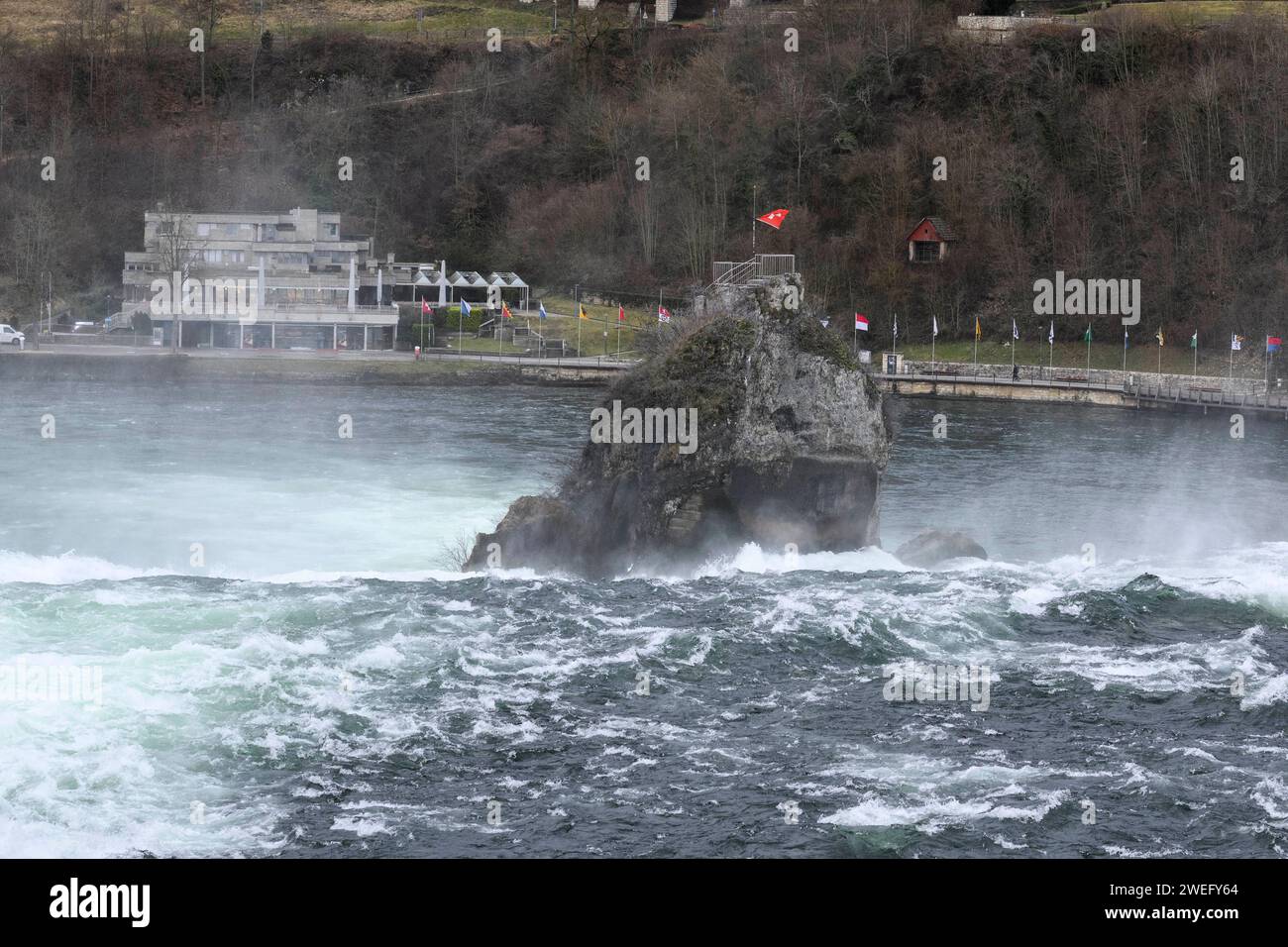 Fels mit Schweizer Flagge am Rheinfall unterhalb des Schlosses laufen. Rheinfall, Neuhausen Schweiz, 24.01.2024, Foto: HMB Media/Uwe Koch *** Fels mit Schweizer Flagge am Rheinfall unter Schloss Laufen Rheinfall, Neuhausen Schweiz, 24 01 2024, Foto HMB Media Uwe Koch Copyright: HMBxMedia/UwexKoch Stockfoto