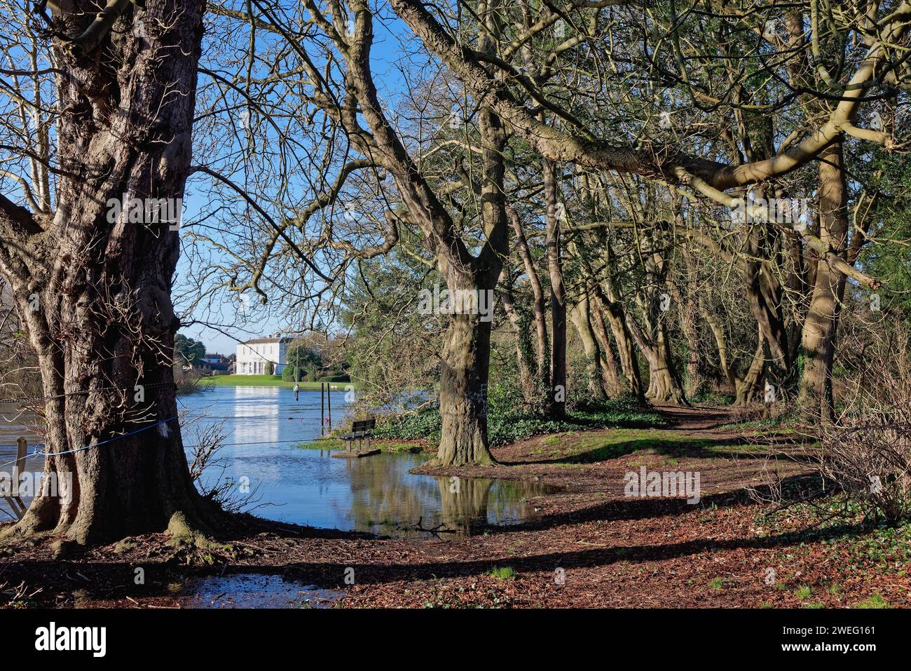 An einem sonnigen Wintertag in Shepperton, Surrey England, Großbritannien Stockfoto