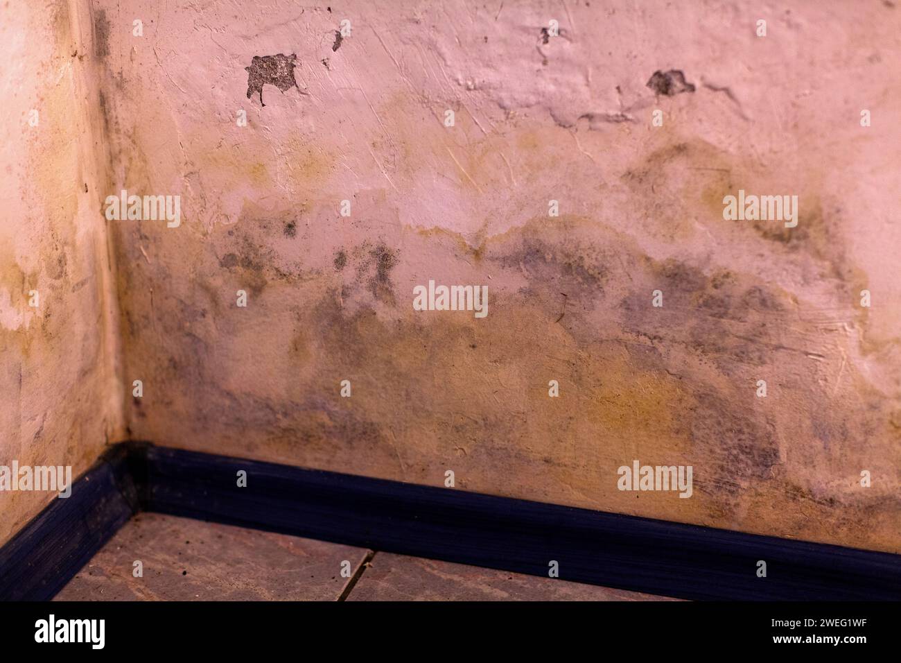 Schimmel an den Wänden im Keller eines Hauses. Stockfoto