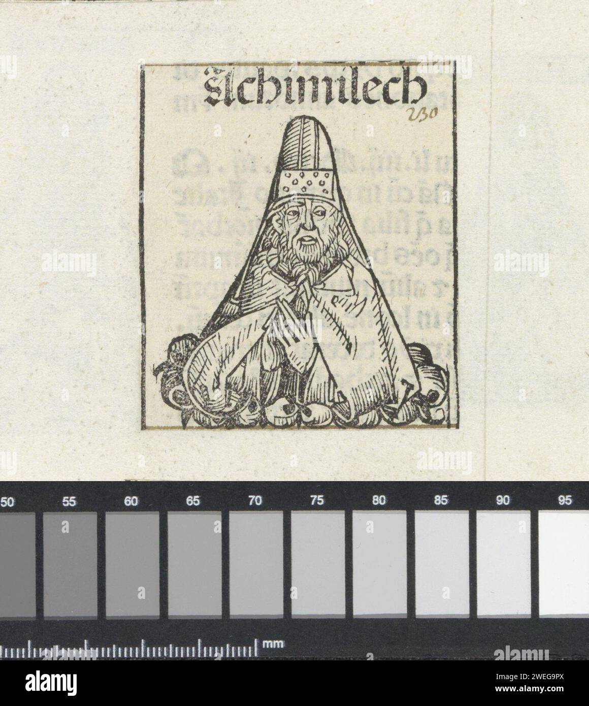 Achimelech, Michel Wolgemut (Werkstatt), 1493 drucken Sie Einen Blumenkelch mit einem Mann in Priesterkleidung, gerichtet nach vorne. Der Text bezeichnet ihn als Achimelech, Hohepriester. Die Aufführung ist Teil der Sequenz Priesters im Liber Chronicarum. Der Ausdruck ist Teil eines Albums. Buchdruck-Personen aus dem Alten Testament (weder im biblischen Kontext noch in legendären/historischen Erweiterungen, die in der Abteilung 71 enthalten sind). Hohepriester  Hierarchie der Priester Stockfoto