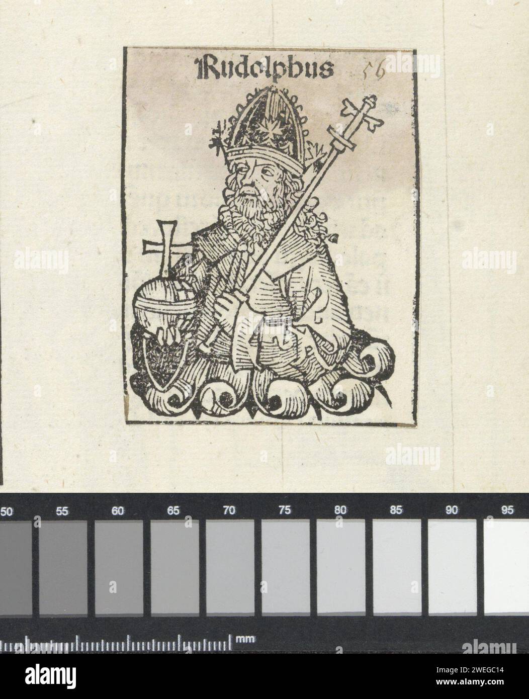 Rooms-koning Rudolf I., Michel Wolgemut (Werkstatt), 1493 drucken Sie Einen Blumenkelch mit einem König, nach links gedreht. In seinen Händen hat er einen reichen Apfel und ein Zepter. Die Show ist Teil der Überraschung Keizers im Liber Chronicarum. Der Text identifiziert den Mann als römischen König Rudolf I. Der Ausdruck ist Teil eines Albums. Papier Letterpress Printing King. kaiser Stockfoto