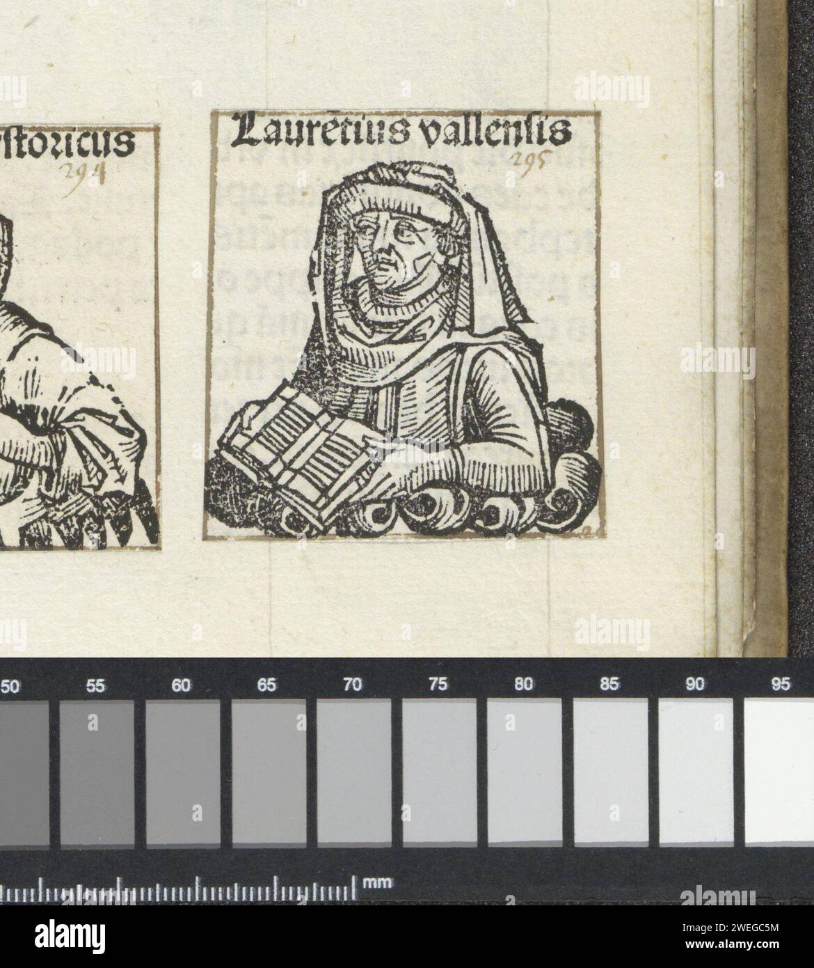 Laurentius van Valenza, Michel Wolgemut (Werkstatt), 1493 drucken Sie Einen Blumenkelch mit einem Leser. Er hat eine Kapuze auf dem Kopf. Der Text identifiziert ihn als Laurentius van Valenza. Der Ausdruck ist Teil eines Albums. Papier Letterpress Drucken Lesen Stockfoto