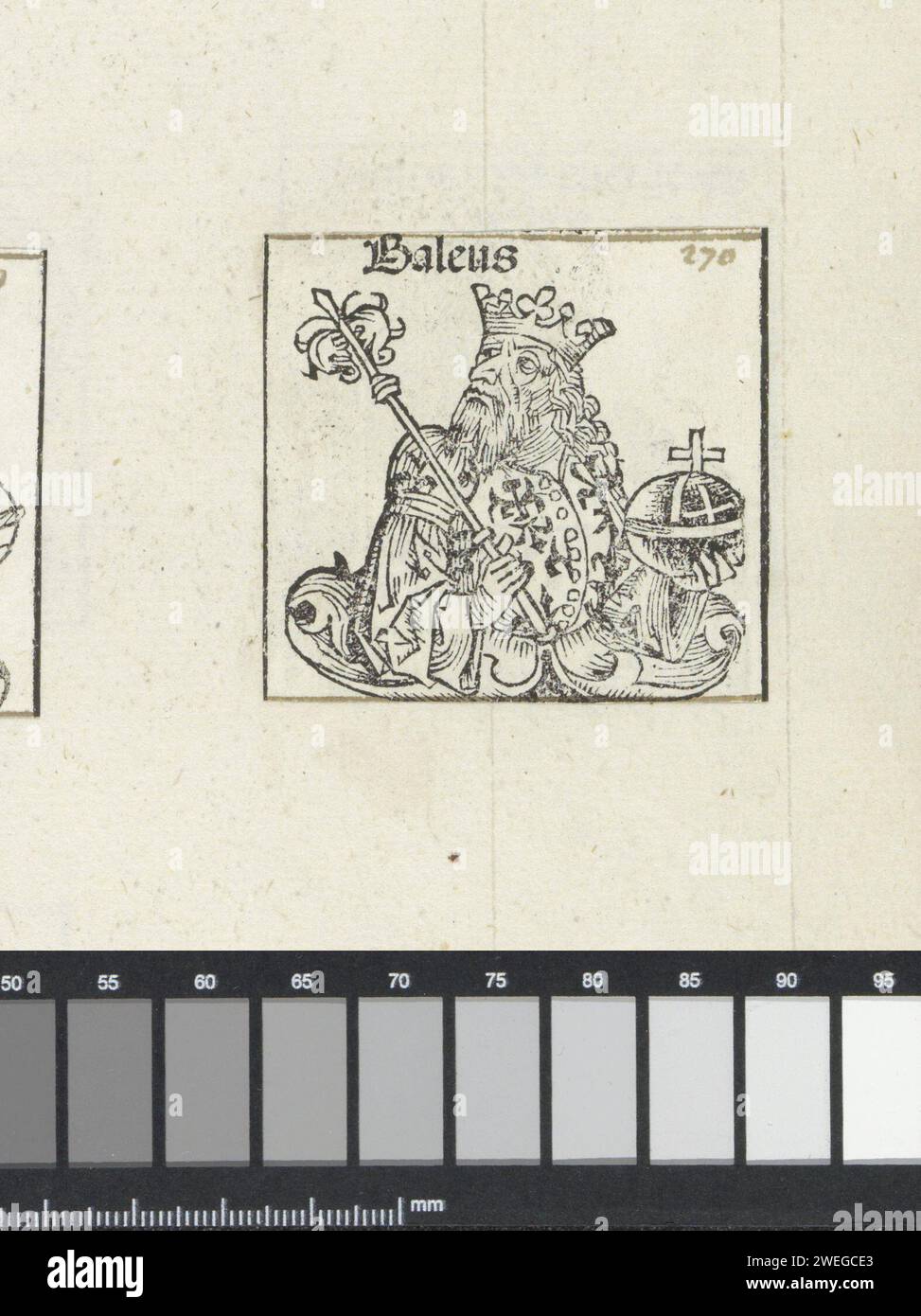 König Baleus, Michel Wolgemut (Werkstatt von), 1493 drucken Eine Blumen-Challenge, in der ein König mit Zepter und Regierungsapfel, zurück nach links blickt. Der Text identifiziert ihn als den assyrischen König Baleus. Die Aufführung ist Teil der Nachfolge der assyrischen Könige im Liber Chronicarum. Der Ausdruck ist Teil eines Albums. Papier Letterpress Printing King Stockfoto