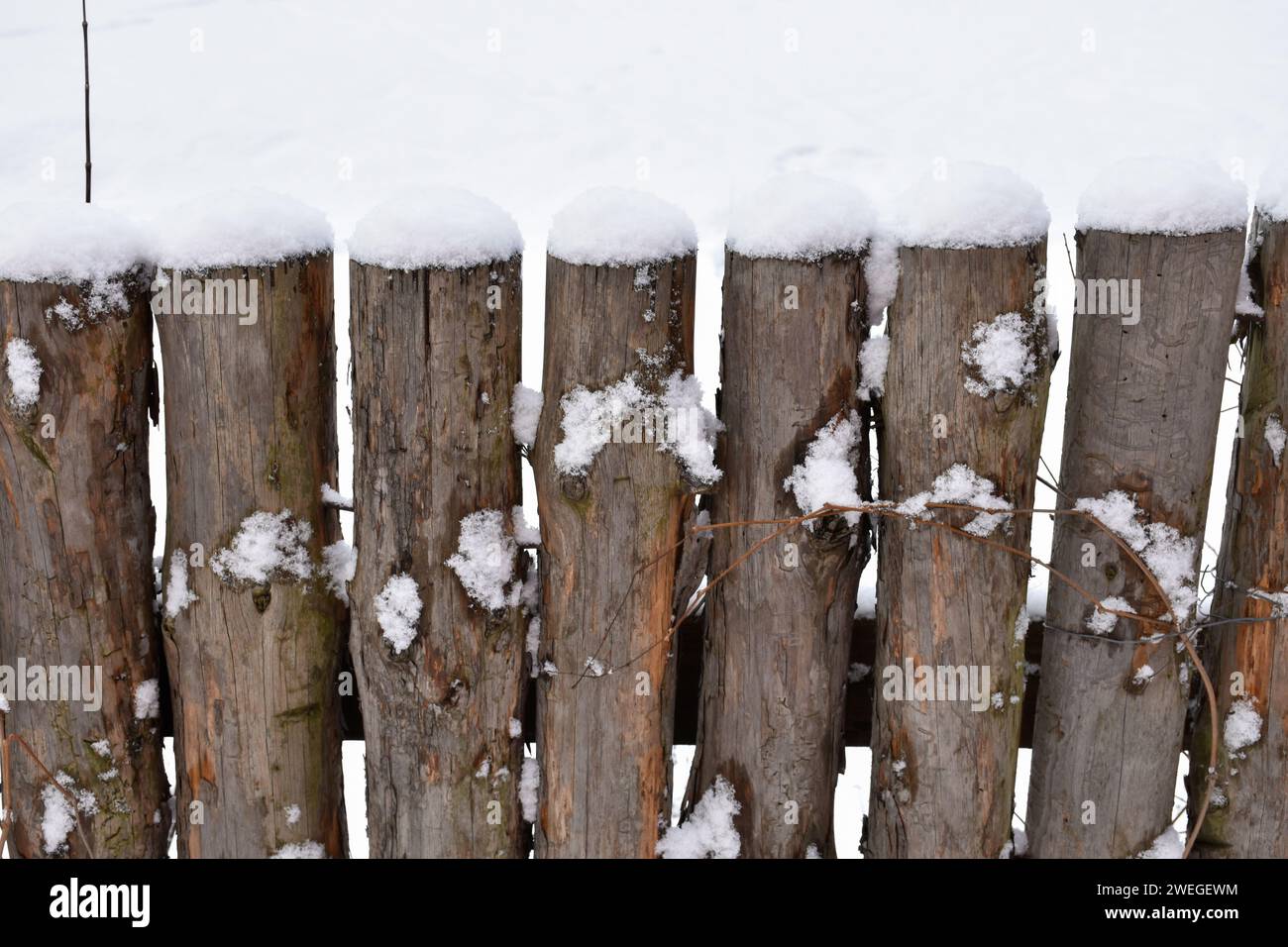 Vintage-Holzzaun, Holzpfosten, vertikale Baumstämme bedeckt mit weißem flauschigem Schnee. Winterlandschaft, kaltes Wetter, strukturierte Details. Stockfoto