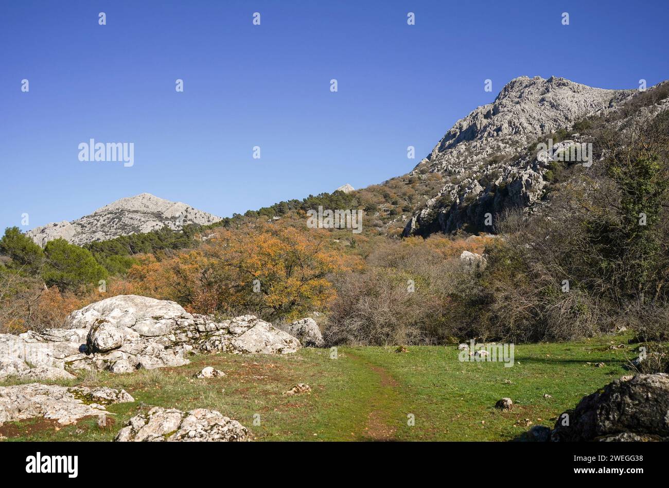 Landschaftlich reizvolle Landschaft mit Kalksteinformationen in Sierra de Camarolos, Hondonero, Andalusien, Südspanien Stockfoto