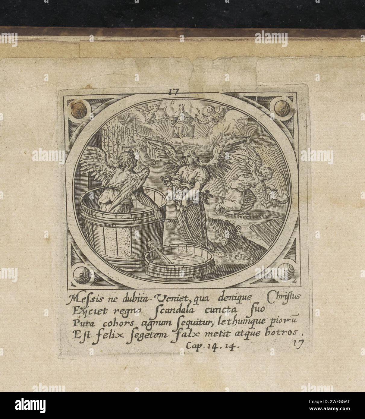 Weinlese mit Sichel und Weinpresse, Adriaen Collaert (zugeschrieben), nach Jan Snellinck (I), drucken 1646 vier Engel ernten Trauben und Getreide mit Sichel und werfen Trauben in einer Weinpresse. In den Wolken eine gekrönte Figur mit Sichel in der Hand, auf einem Thron sitzend, flankiert von zwei Engeln. Unter der Ausstellung ist ein lateinischer Hinweis auf den Bibeltext in op. 14:14. Dieser Ausdruck ist Teil eines Albums. Ein Engel sticht seine Sichel in die Erde und sammelt die Weinrebe Stockfoto