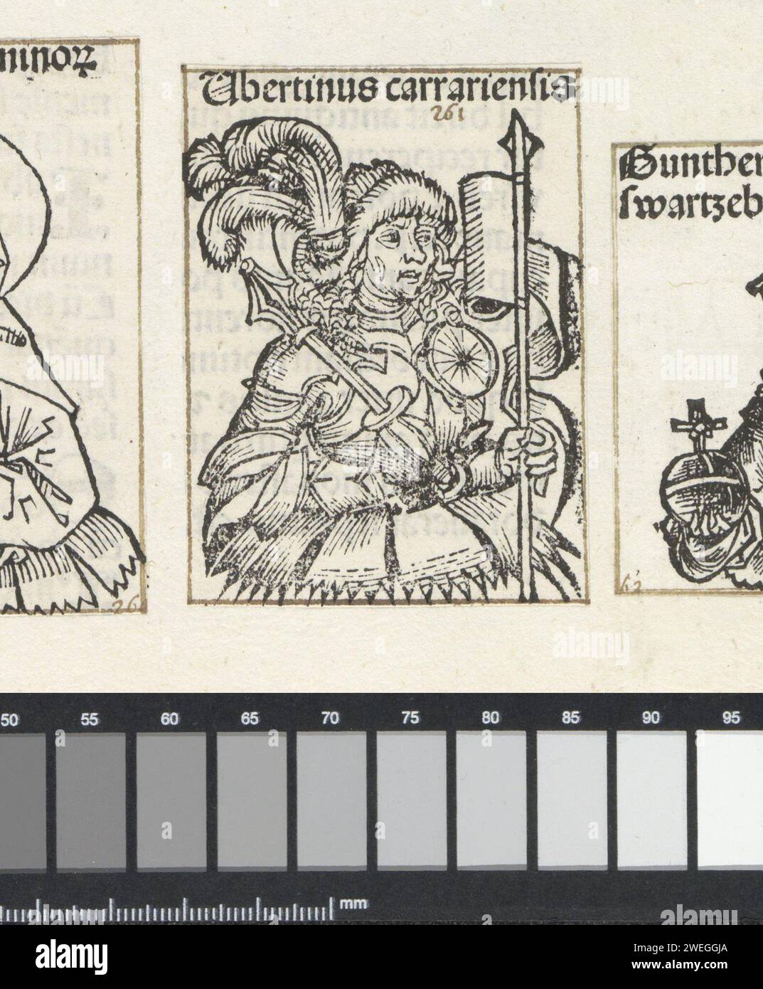 Ubertino da Carrara, Michel Wolgemut (Werkstatt von), 1493 drucken Eine Blumenherausforderung mit einem Standardträger. Der Text identifiziert ihn als Ubertino da Carrara. Der Ausdruck ist Teil eines Albums. Papier Buchdruck Standardträger, Fahnenträger Stockfoto