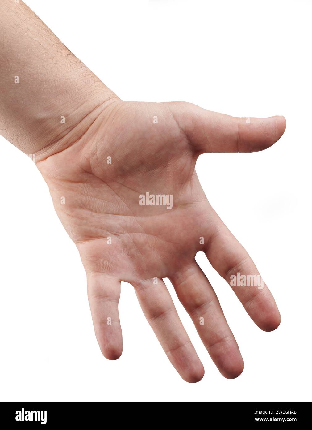 Offene Handfläche Nahansicht isoliert auf weißem Studiohintergrund Stockfoto